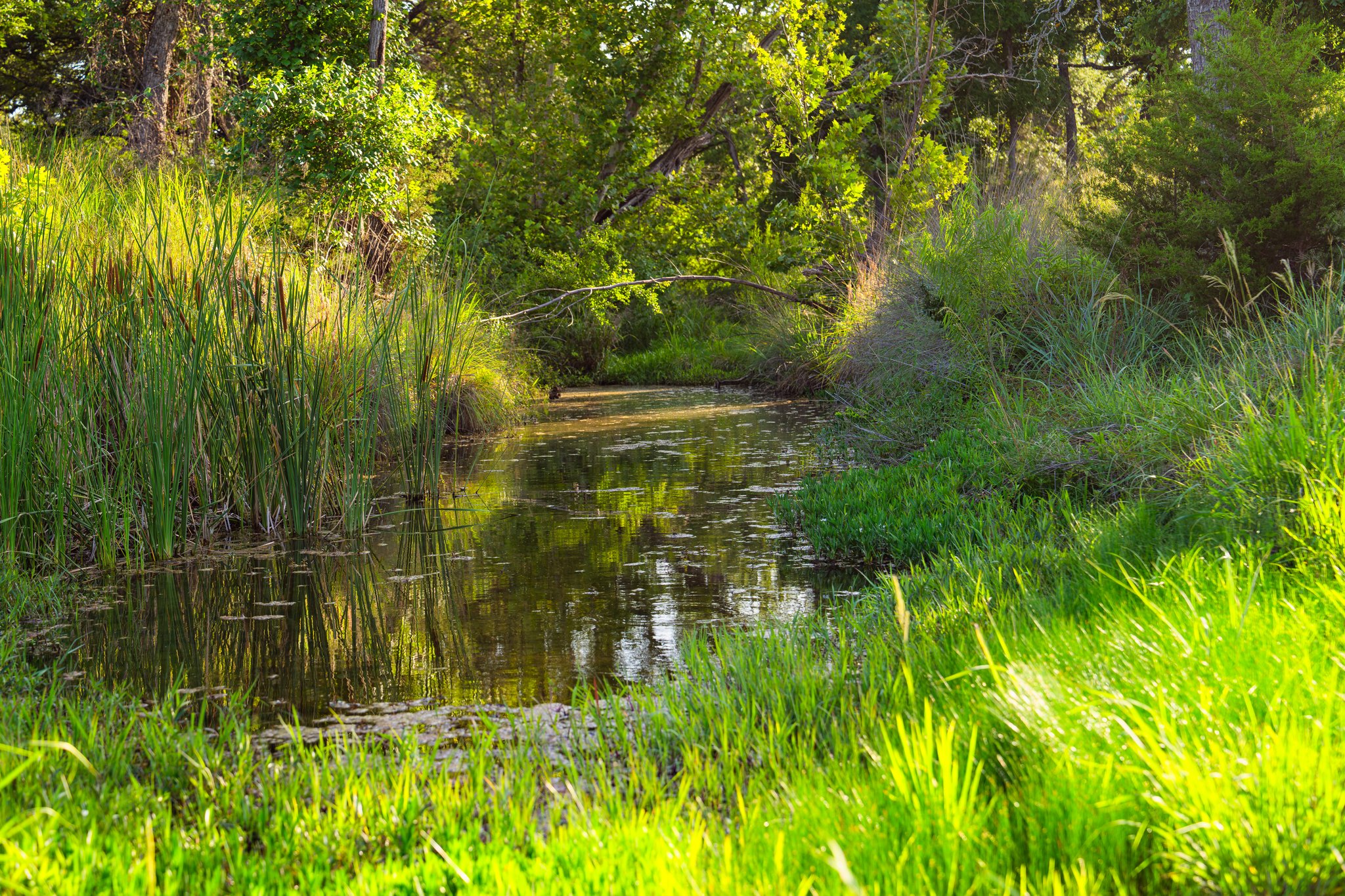 main property photo 37
