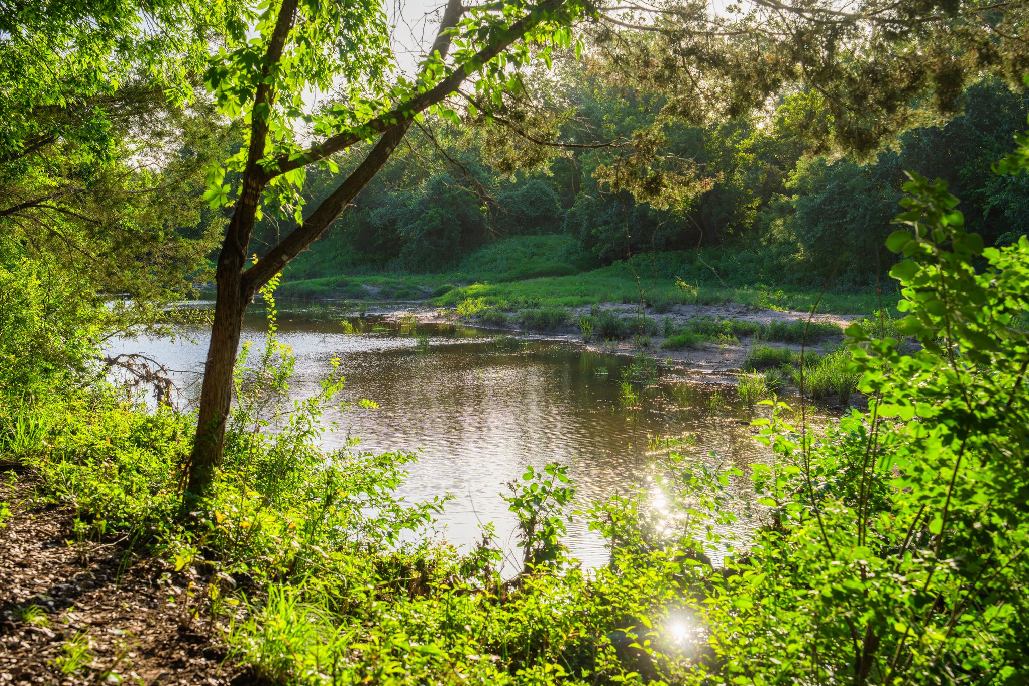 main property photo 38