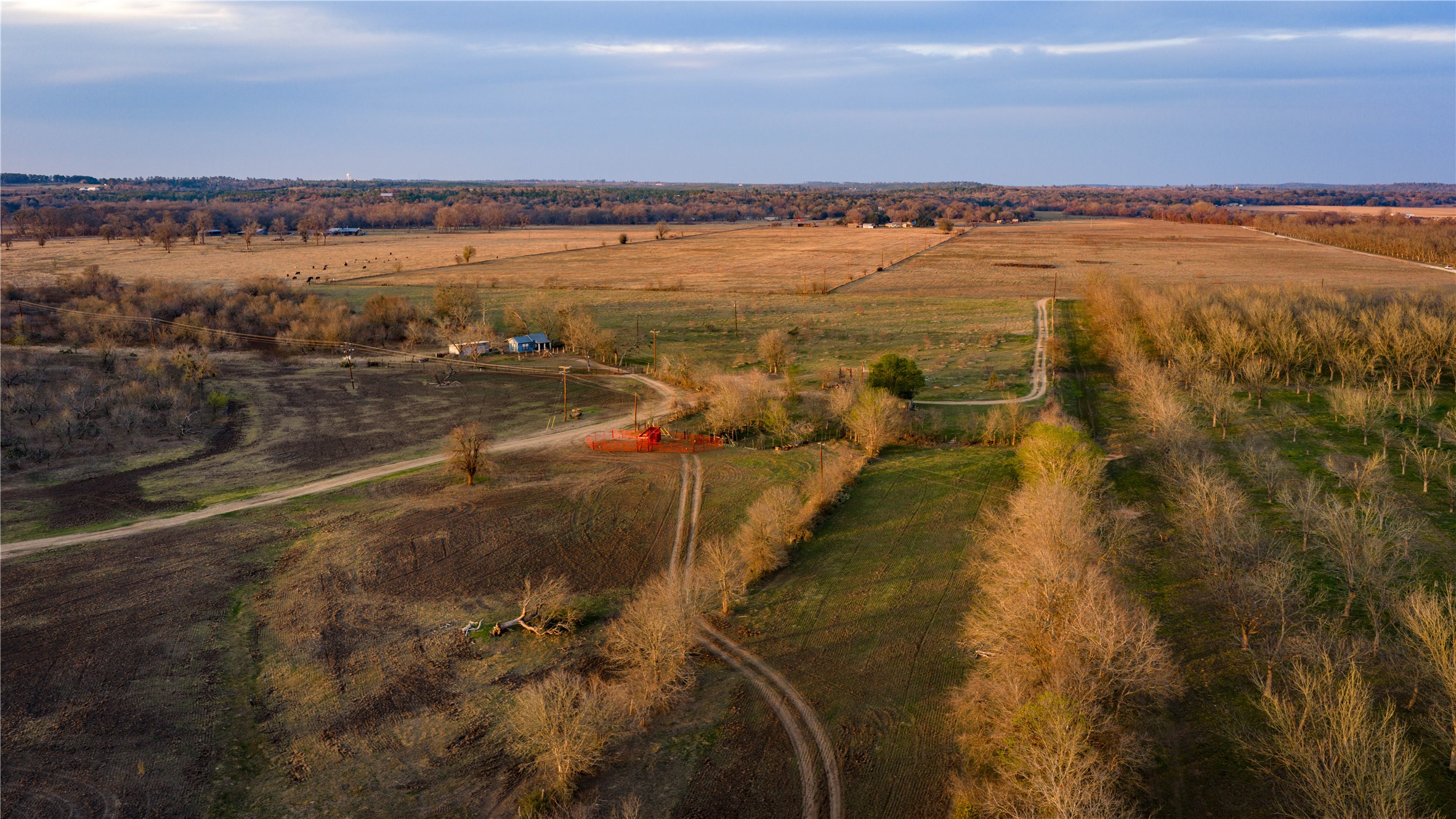 main property photo 38
