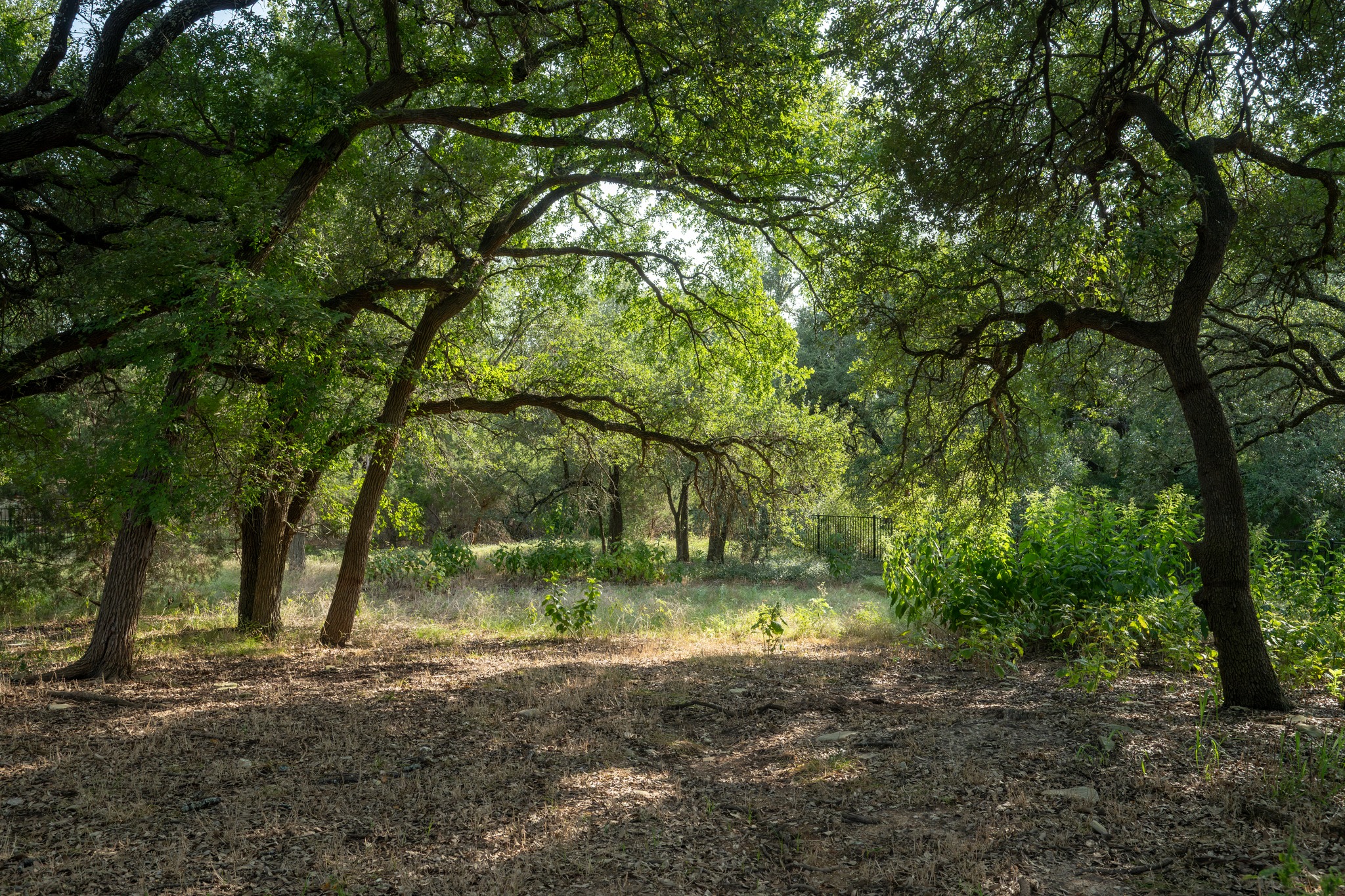main property photo 38