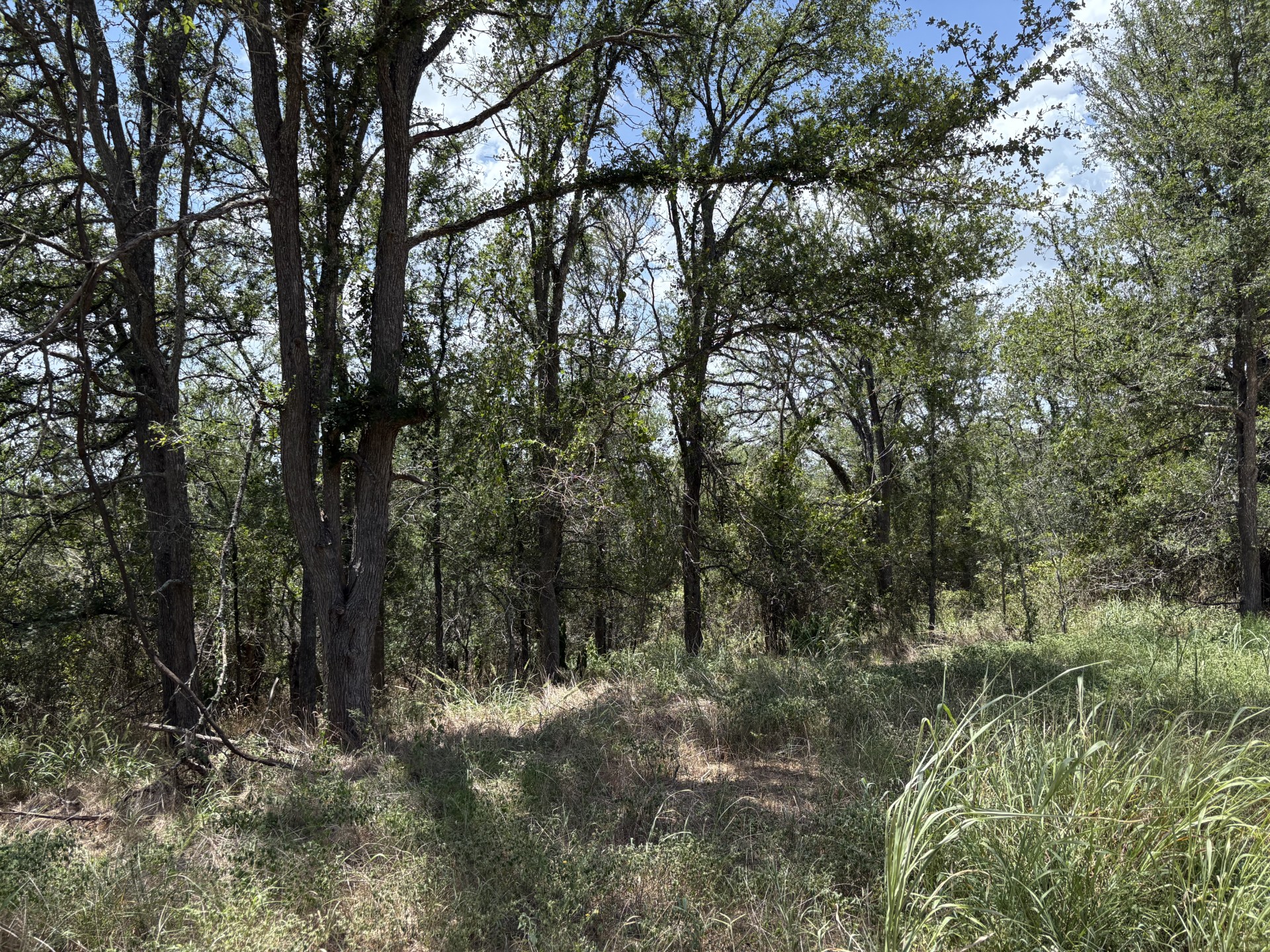 main property photo 6