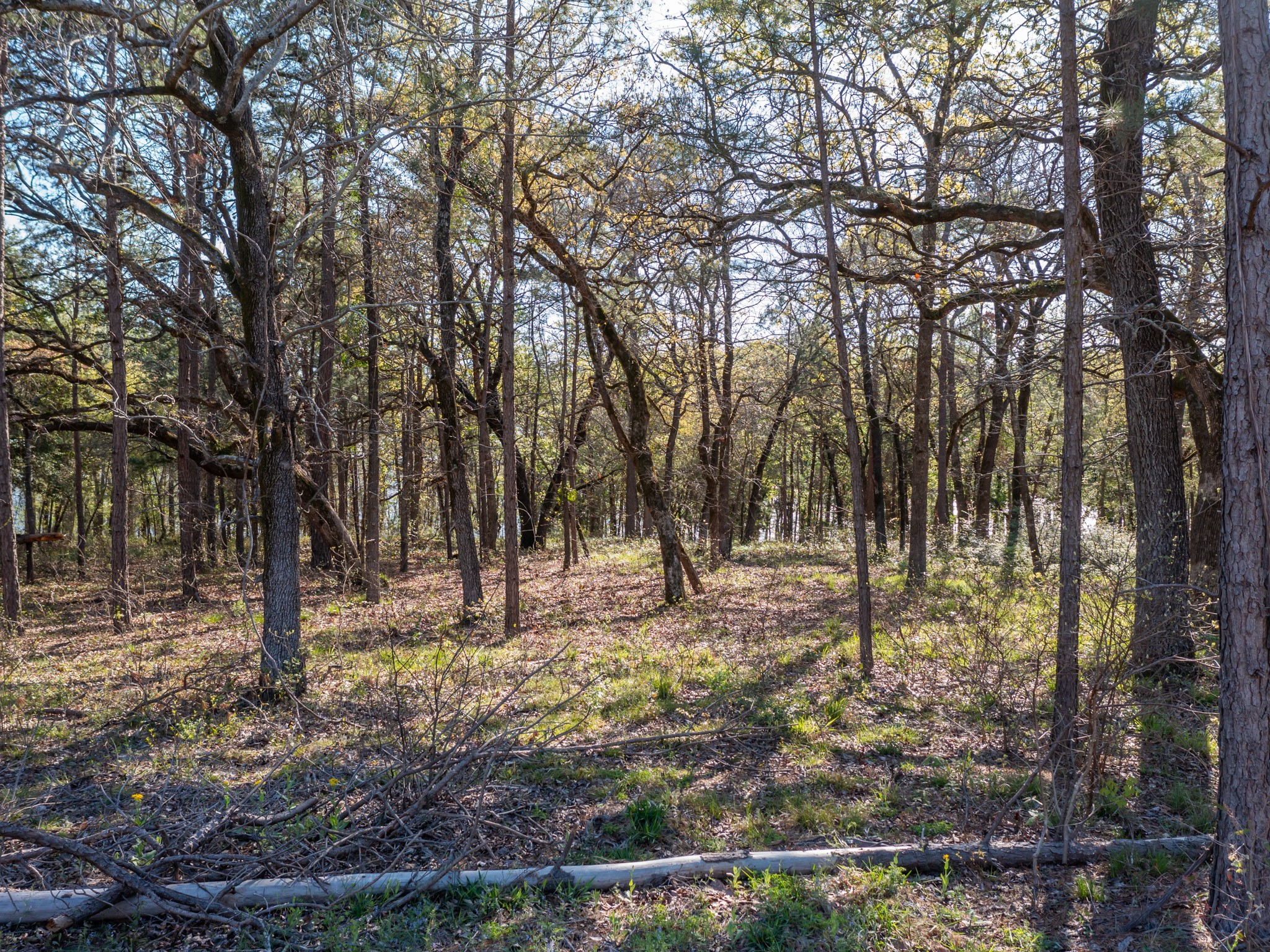 main property photo 13
