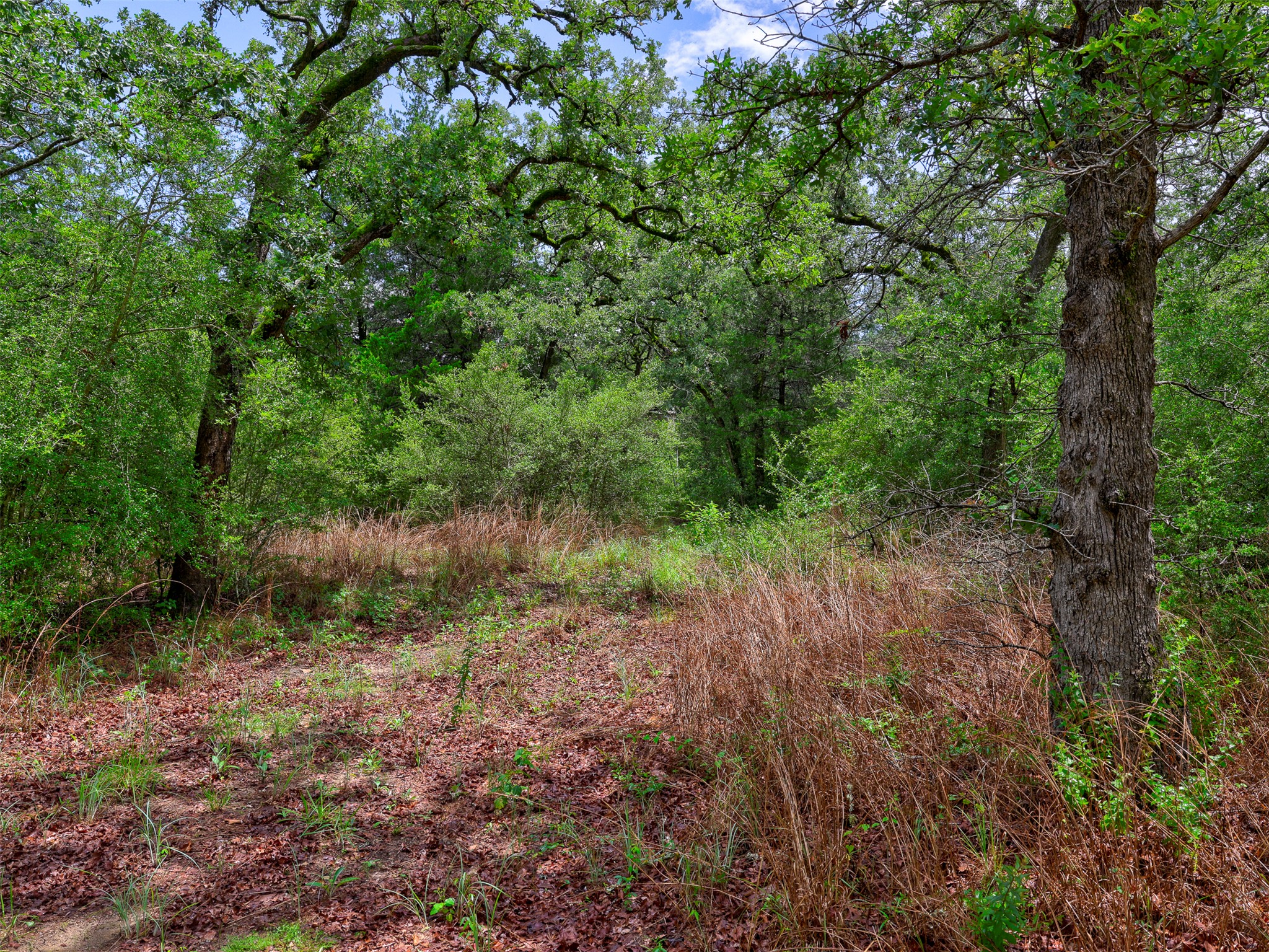 main property photo 6