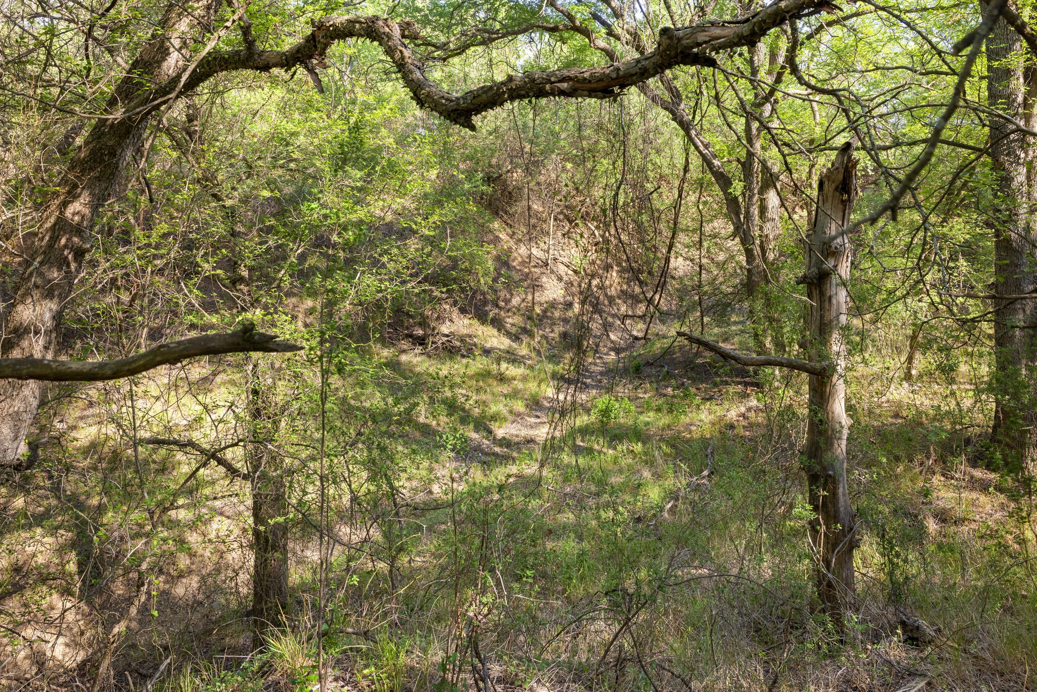 main property photo 29