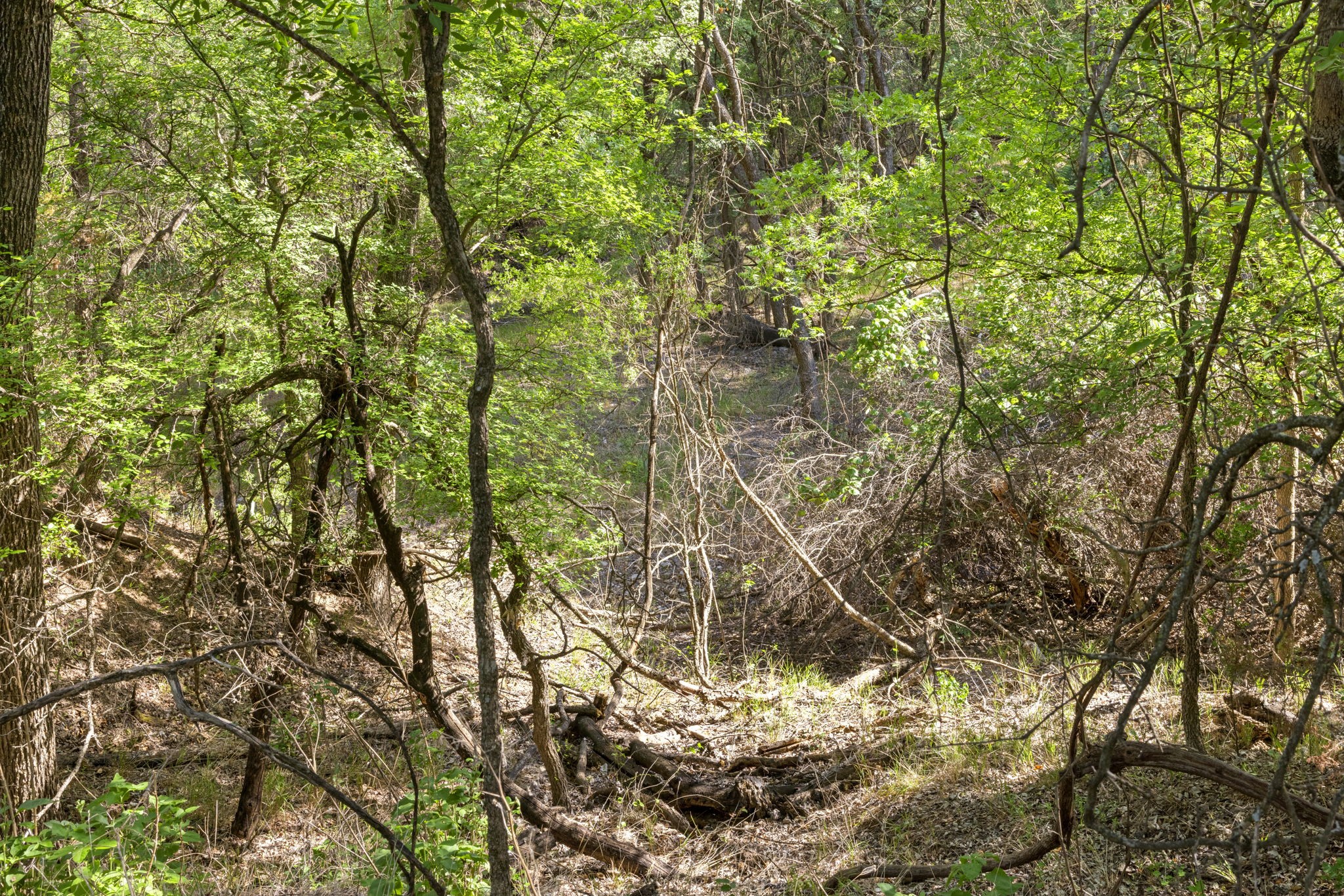 main property photo 31