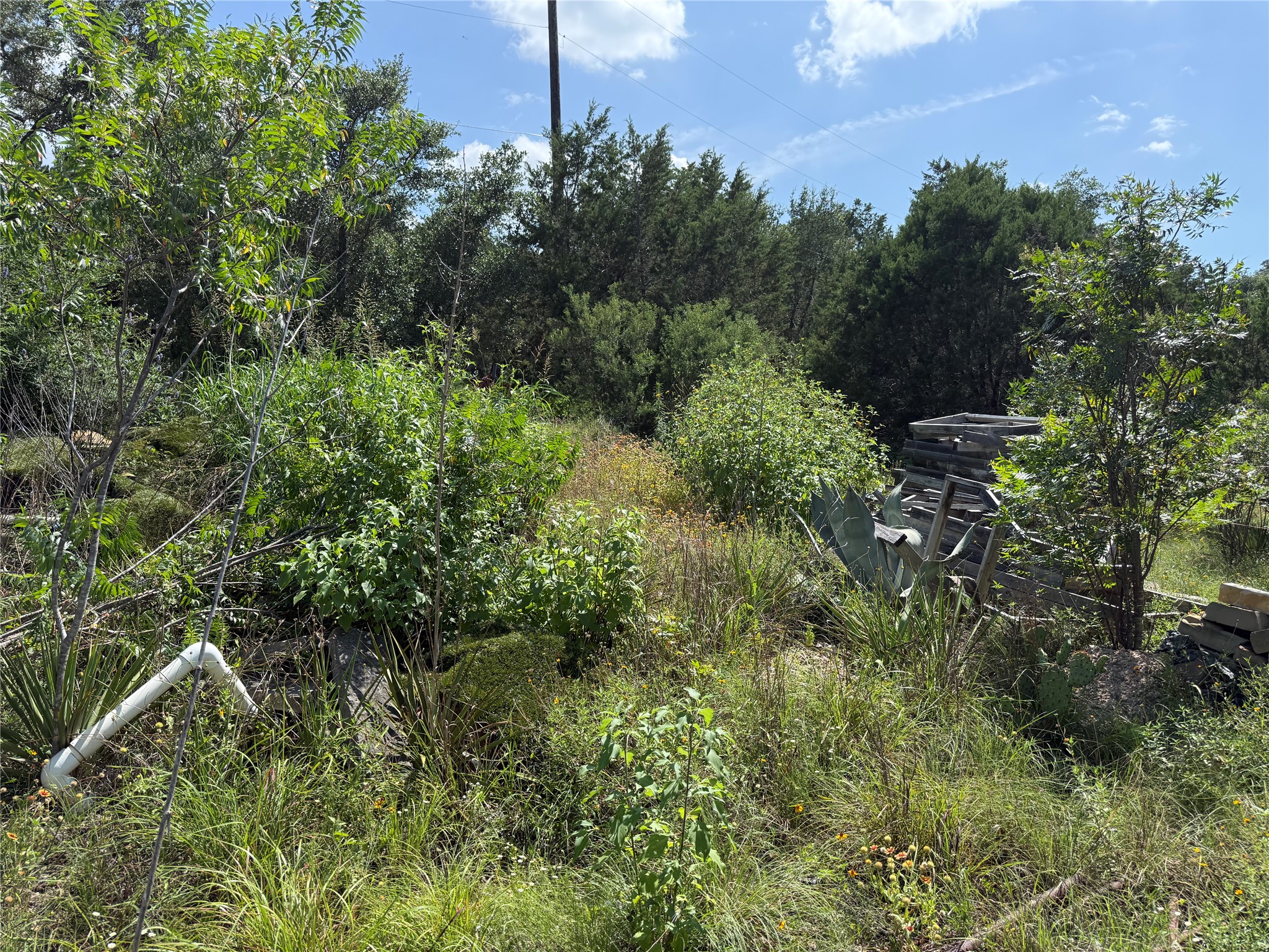 main property photo 5