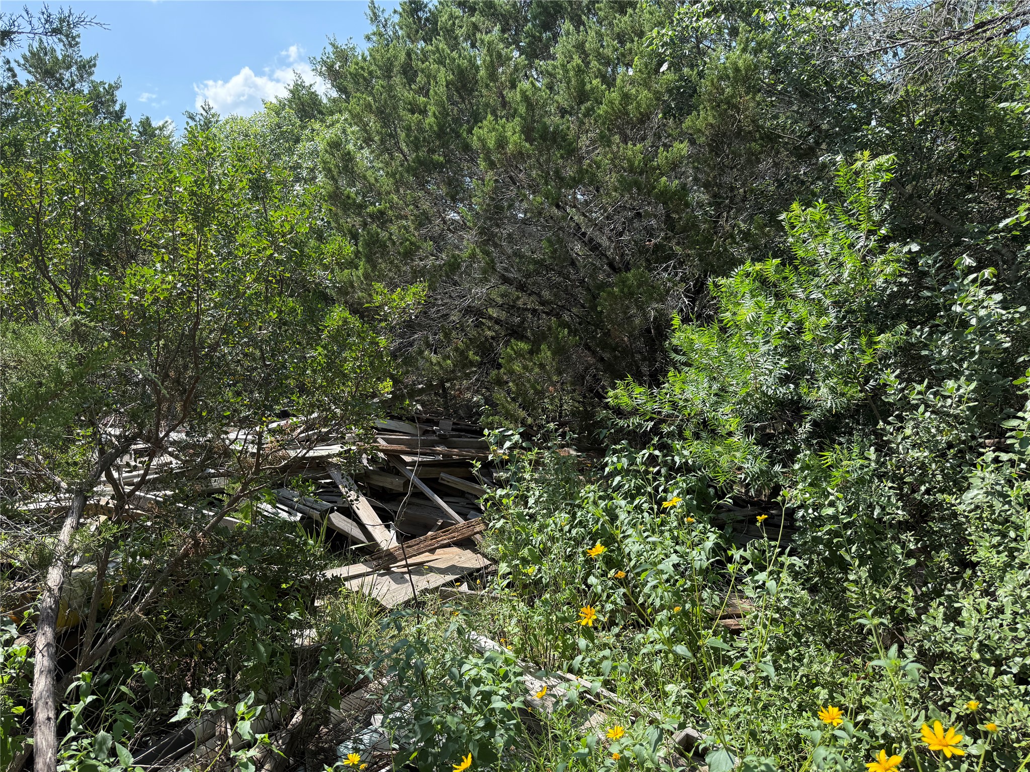 main property photo 6