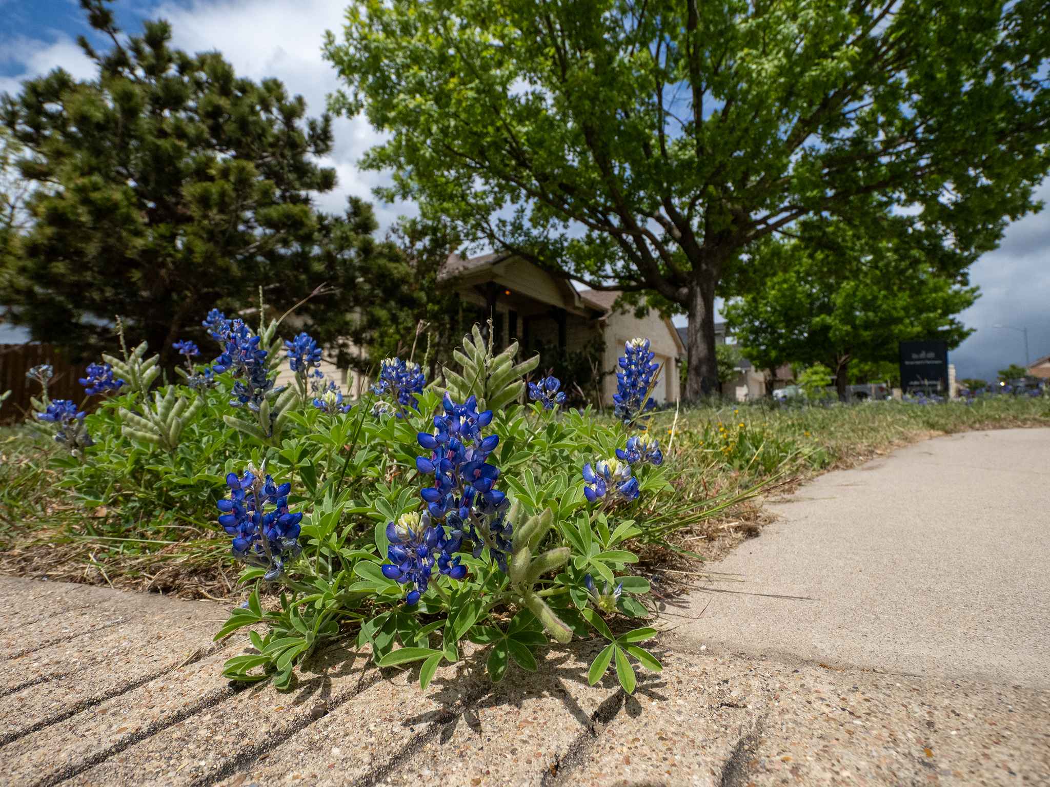 main property photo 30