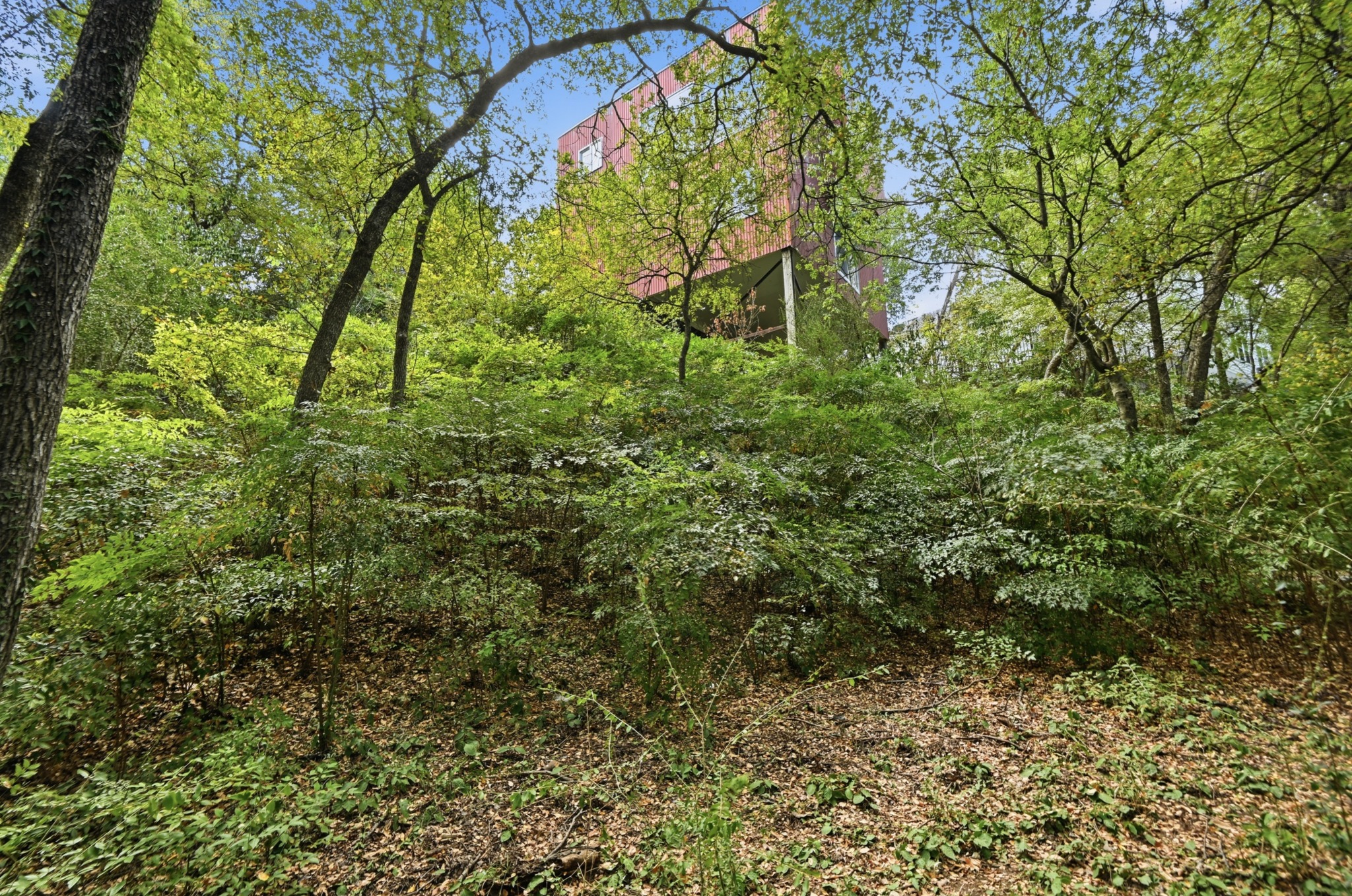 main property photo 7