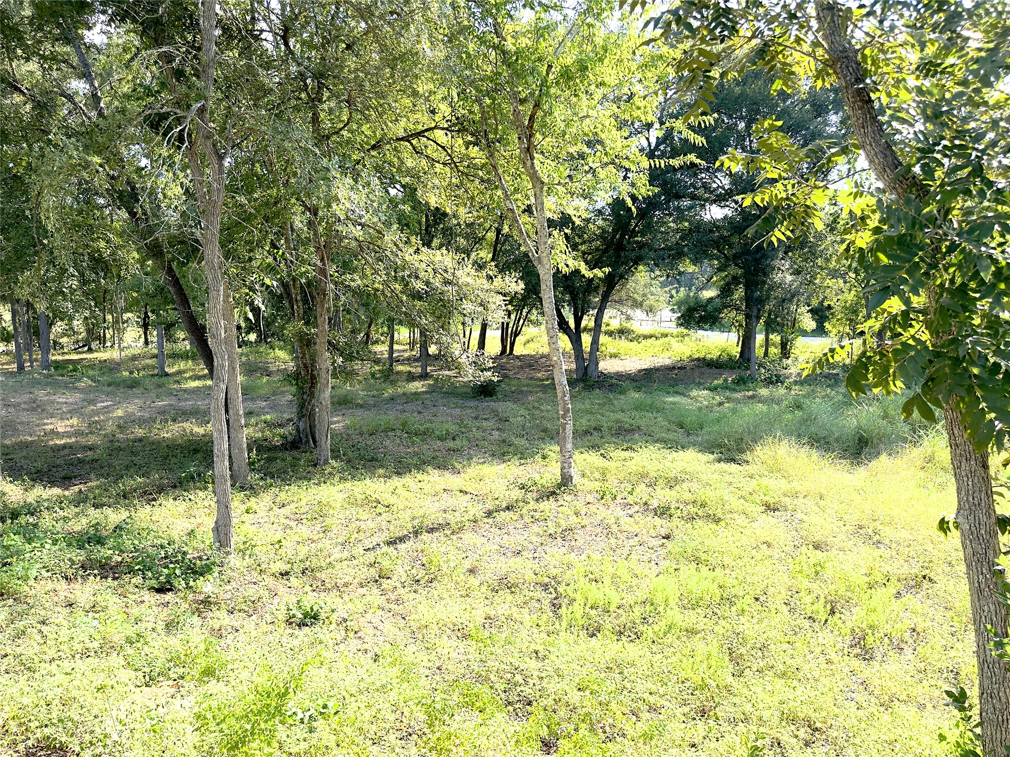 main property photo 18