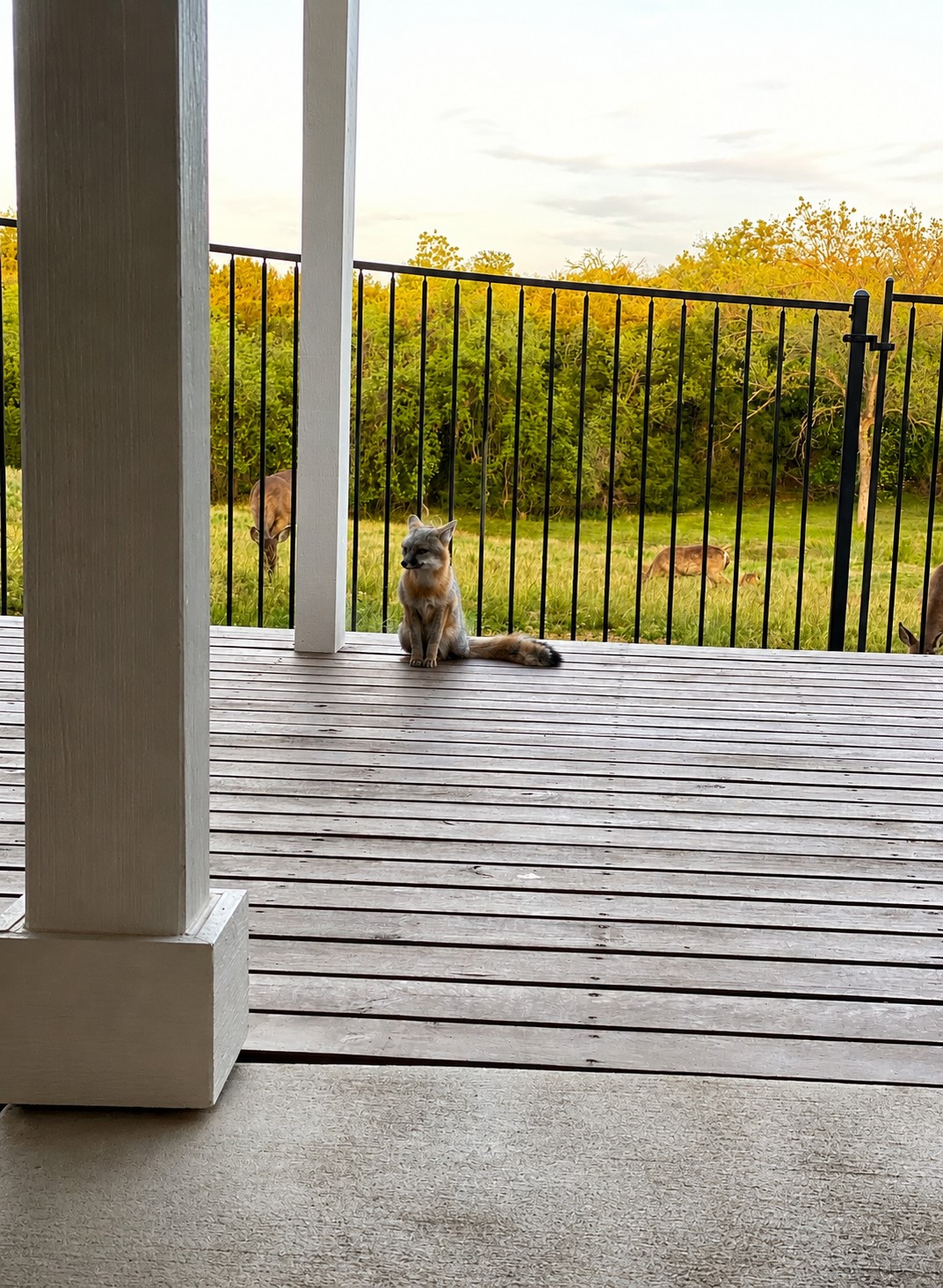 main property photo 38
