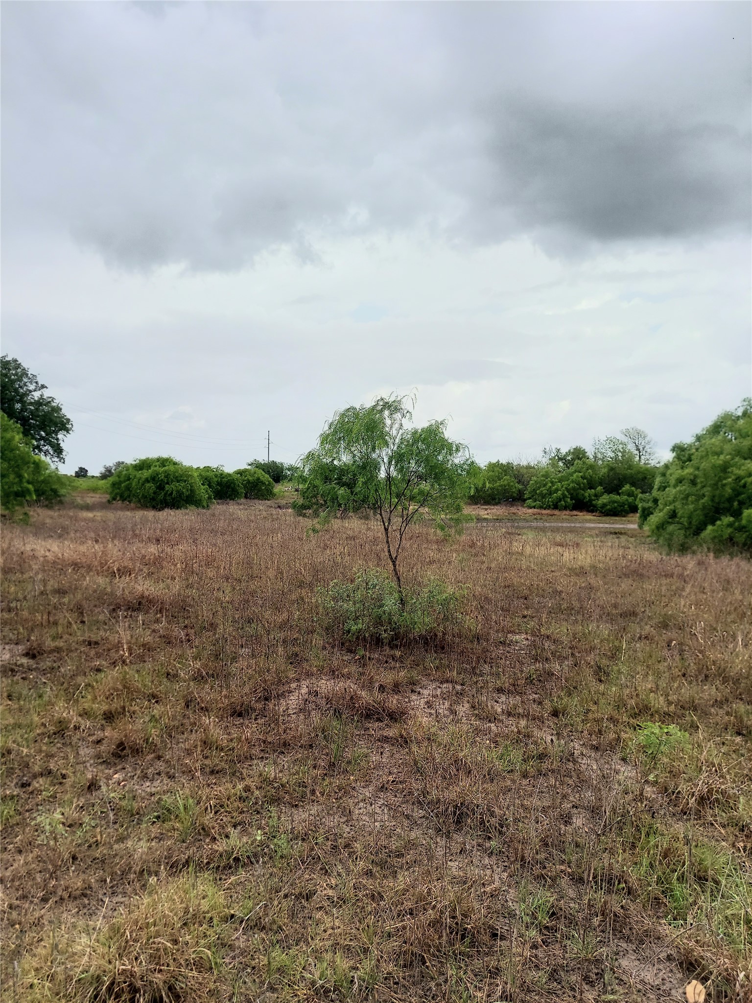 main property photo 21