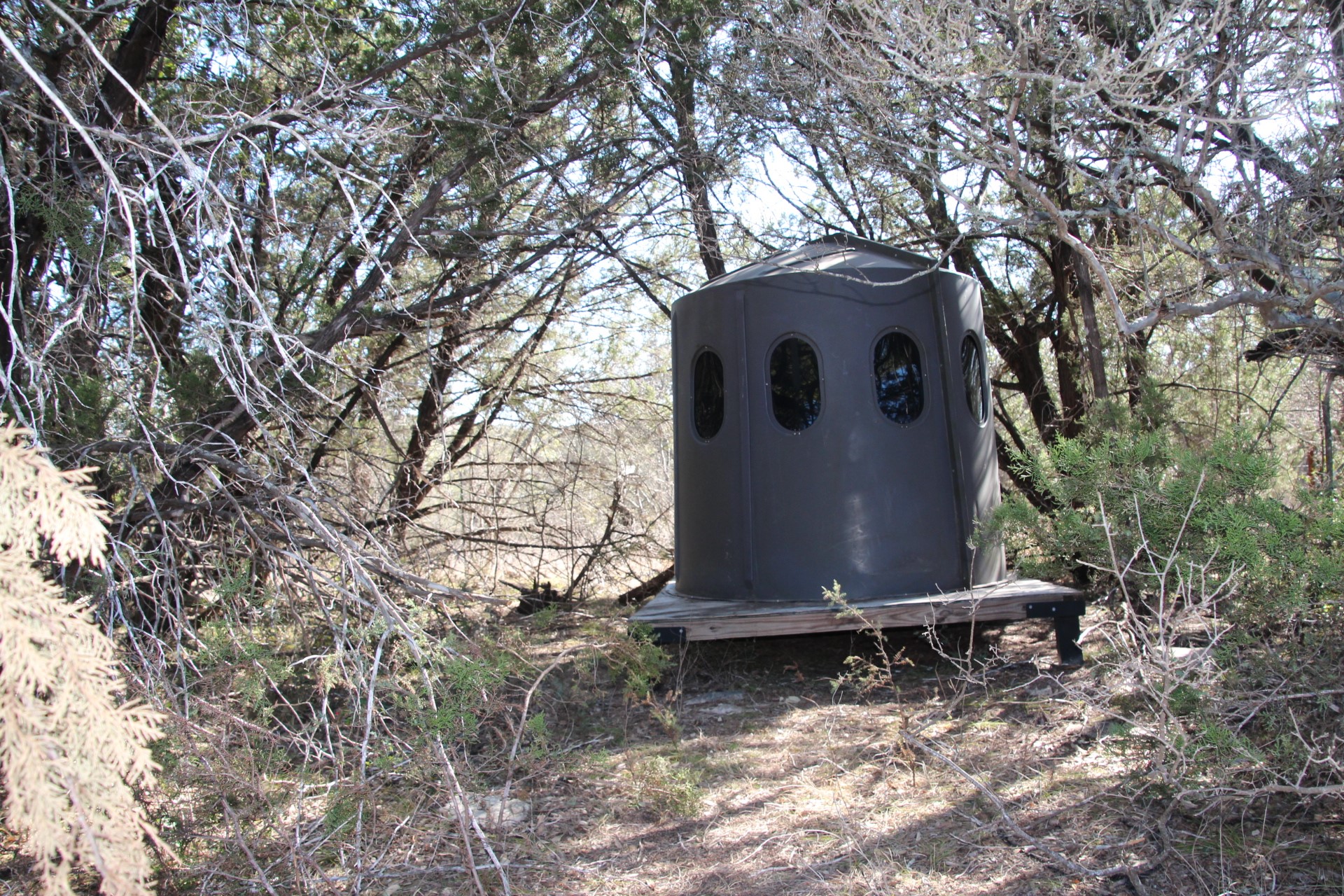 main property photo 32