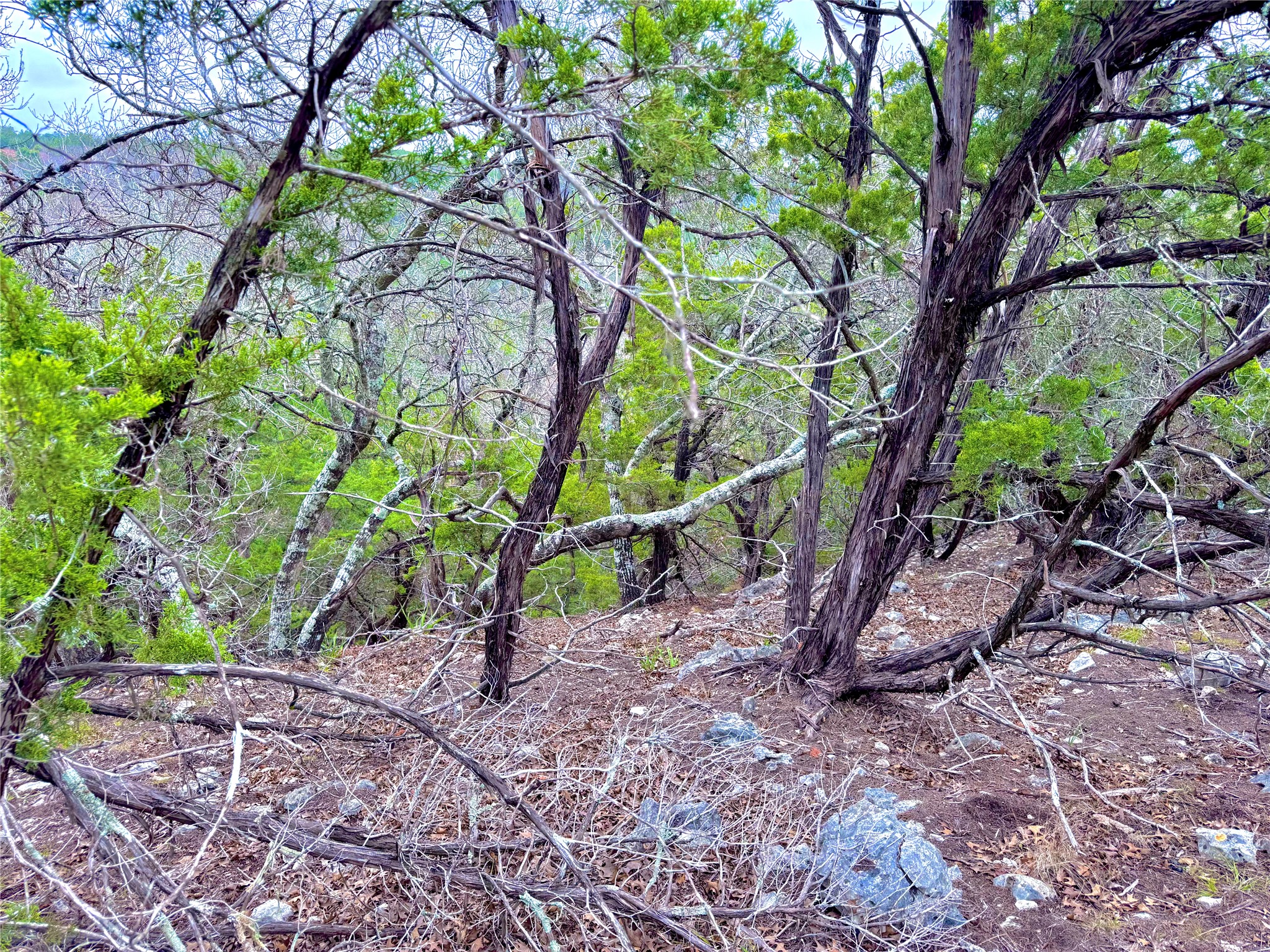 main property photo 14