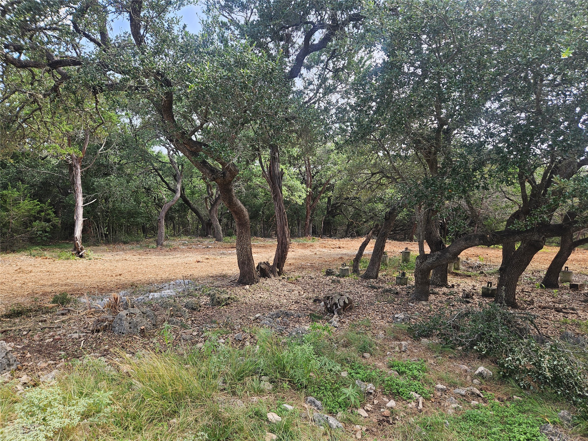 main property photo 32