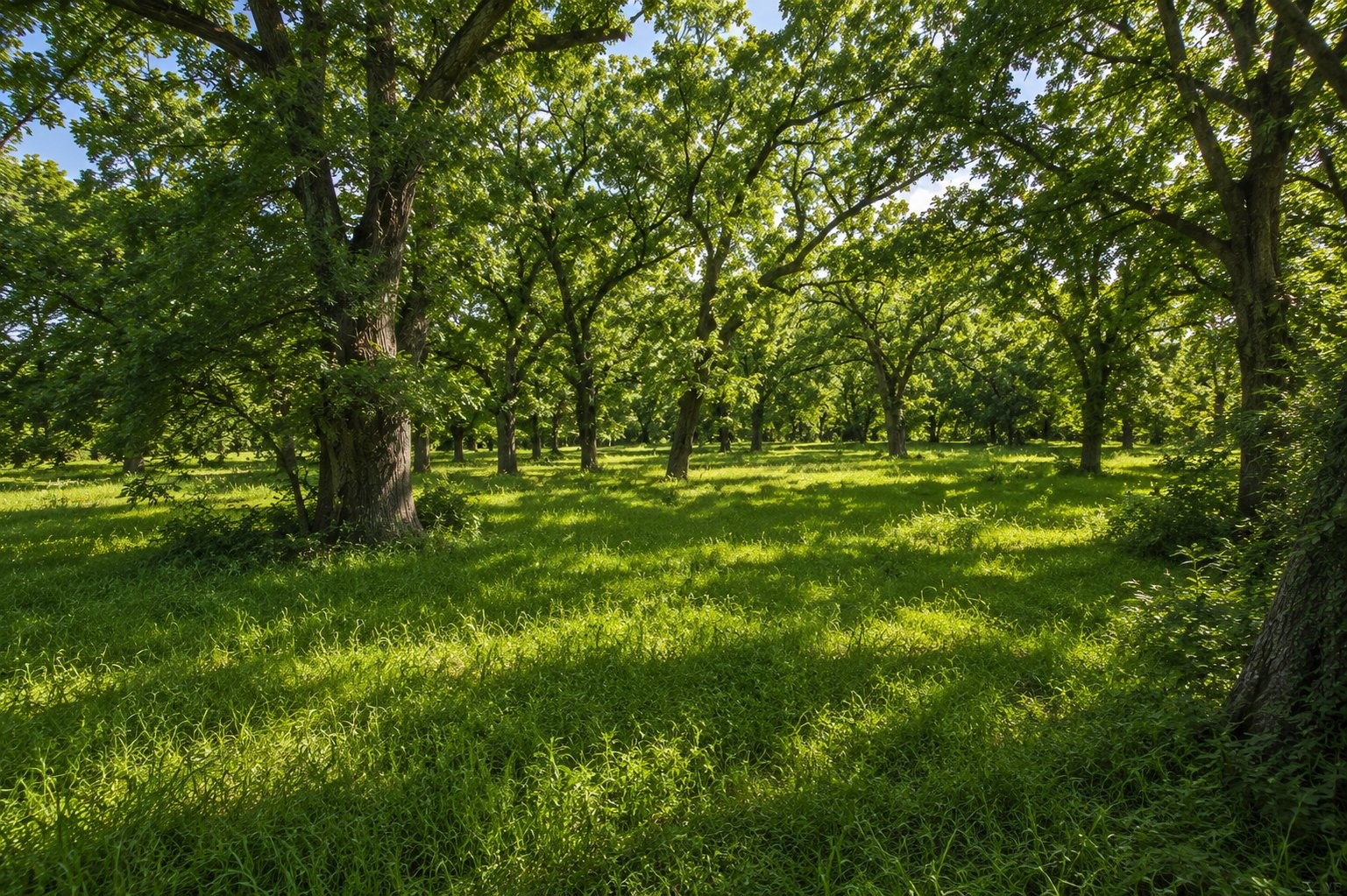 main property photo 15