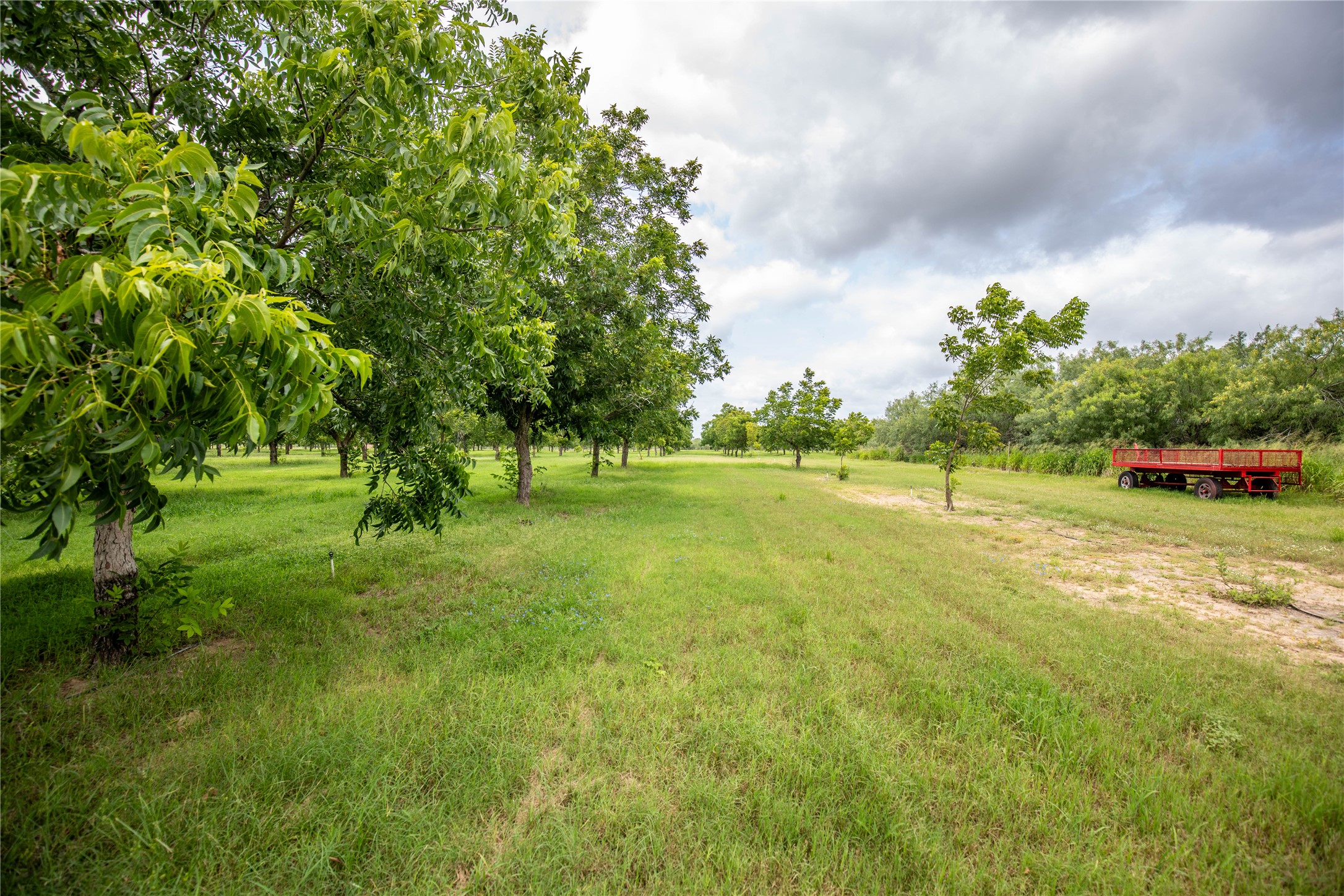 main property photo 8