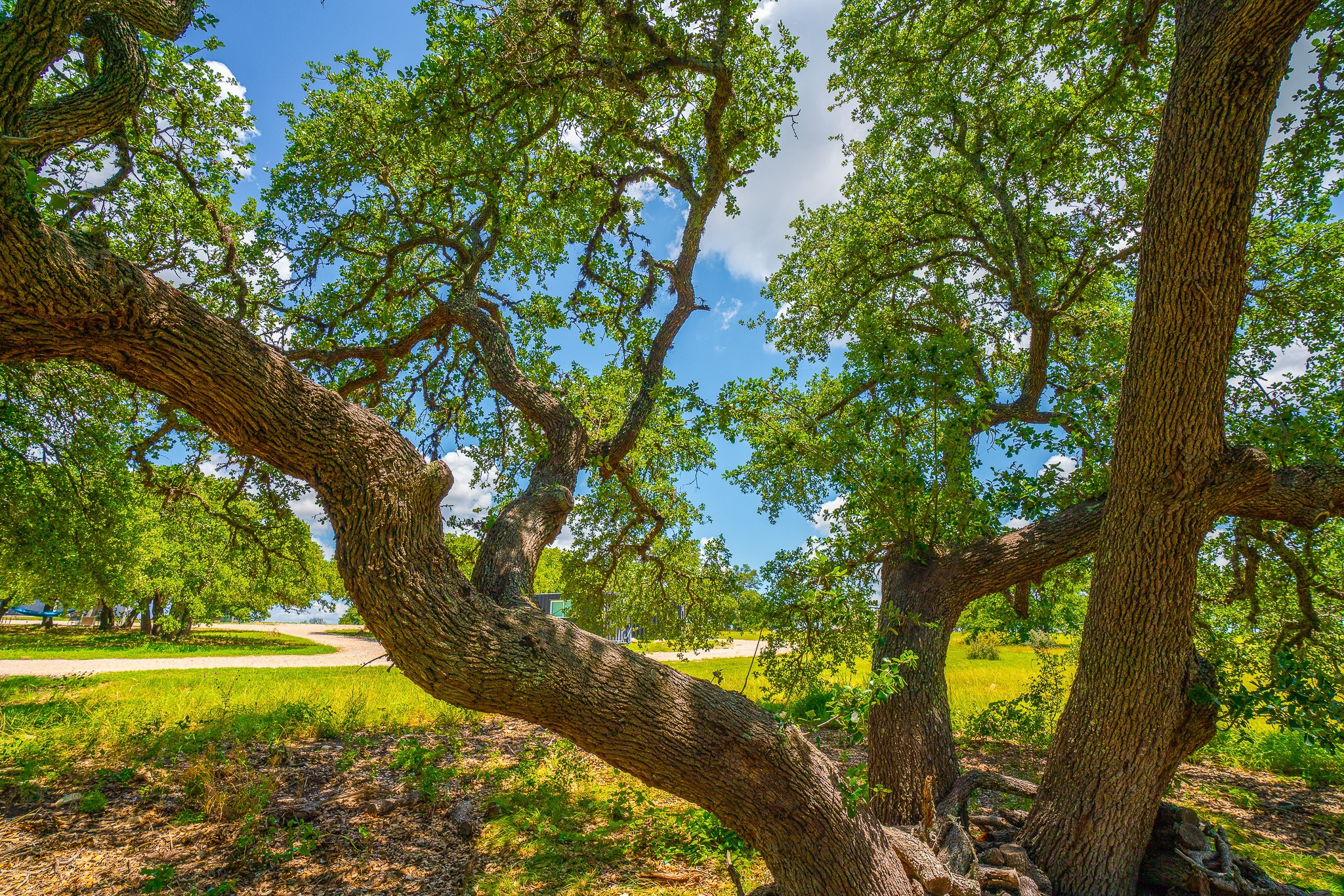 main property photo 35
