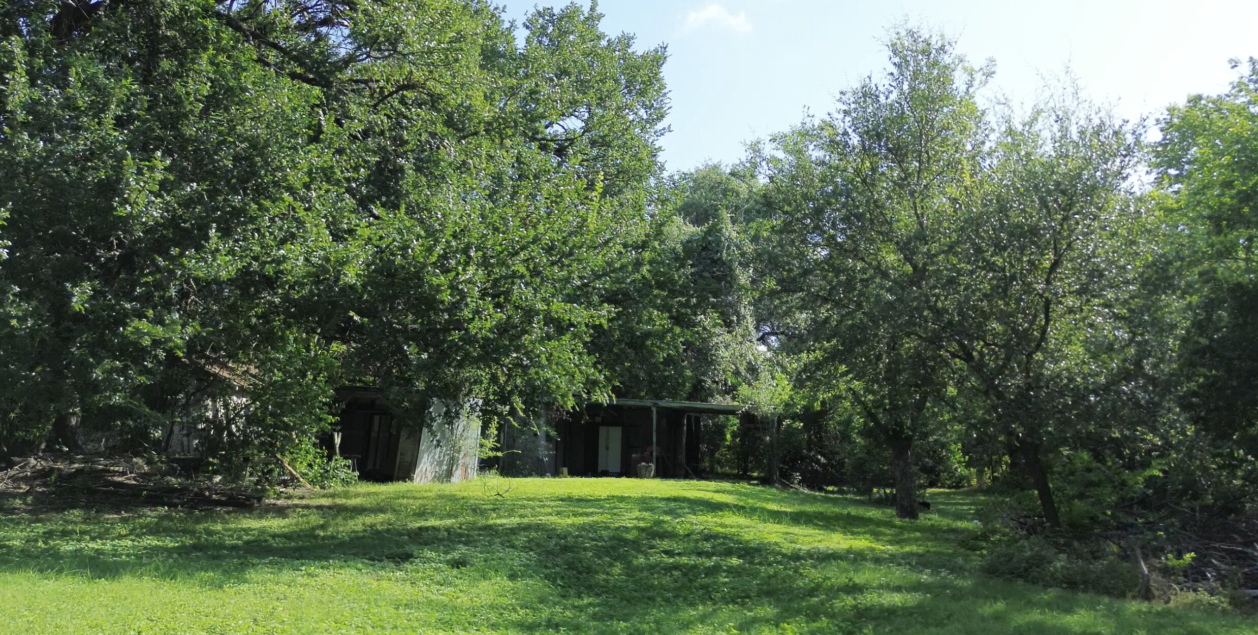 main property photo 5