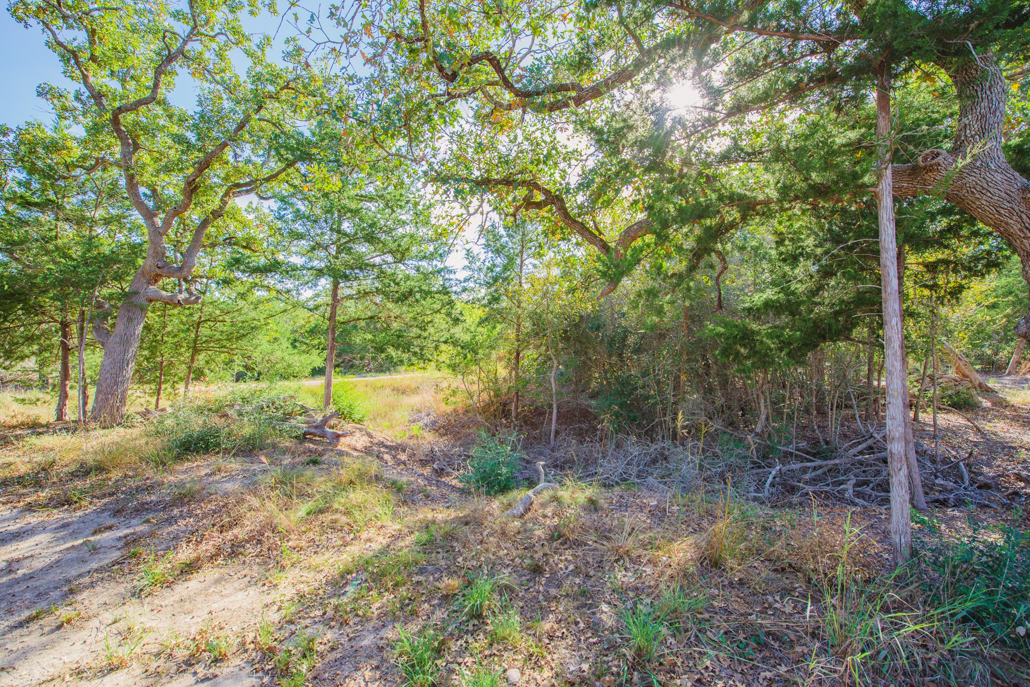 main property photo 35
