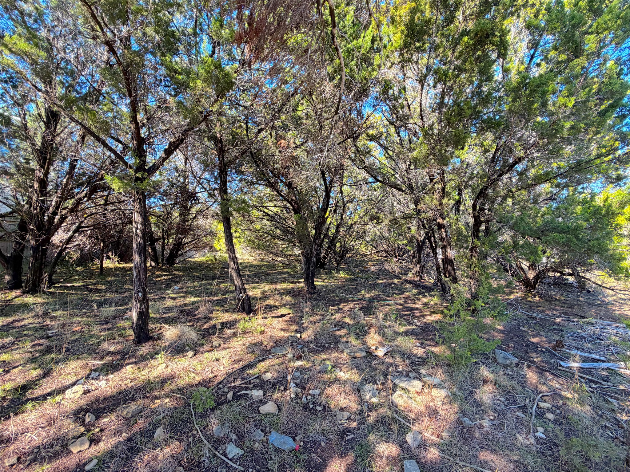 main property photo 13