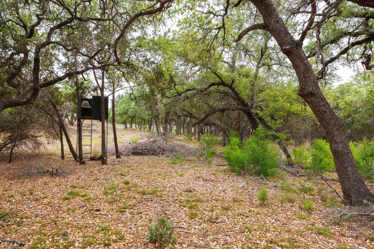 main property photo 25