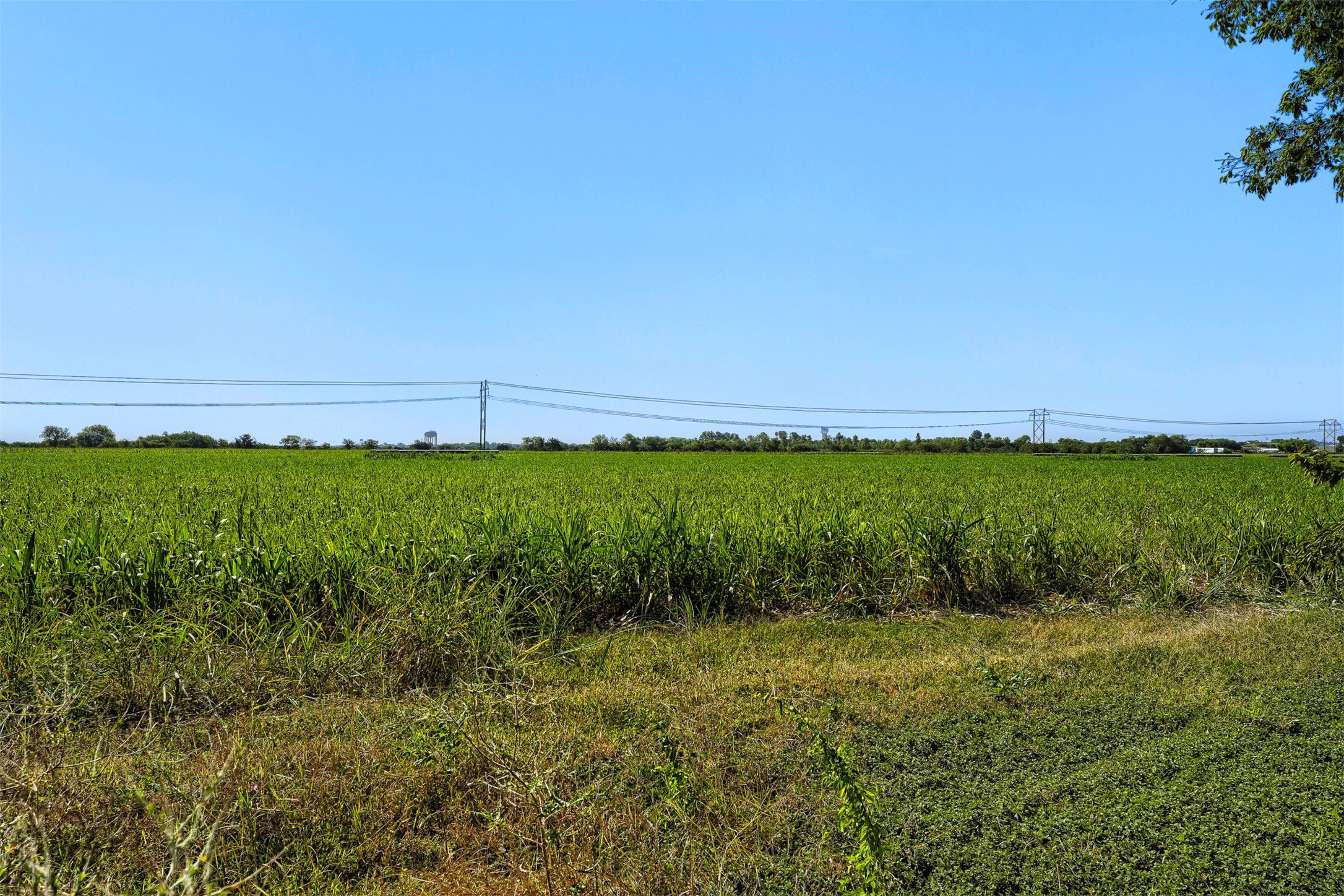 main property photo 27