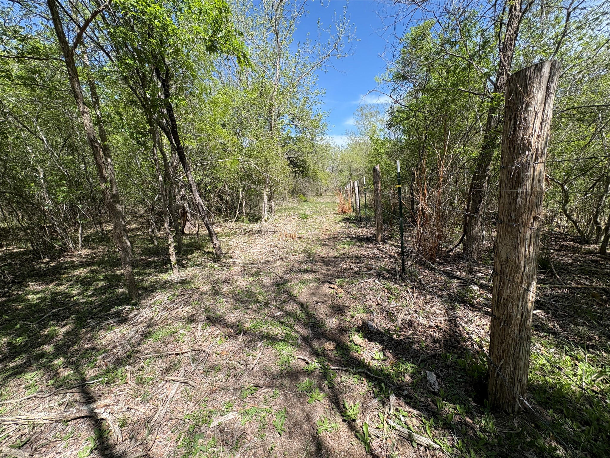 main property photo 15