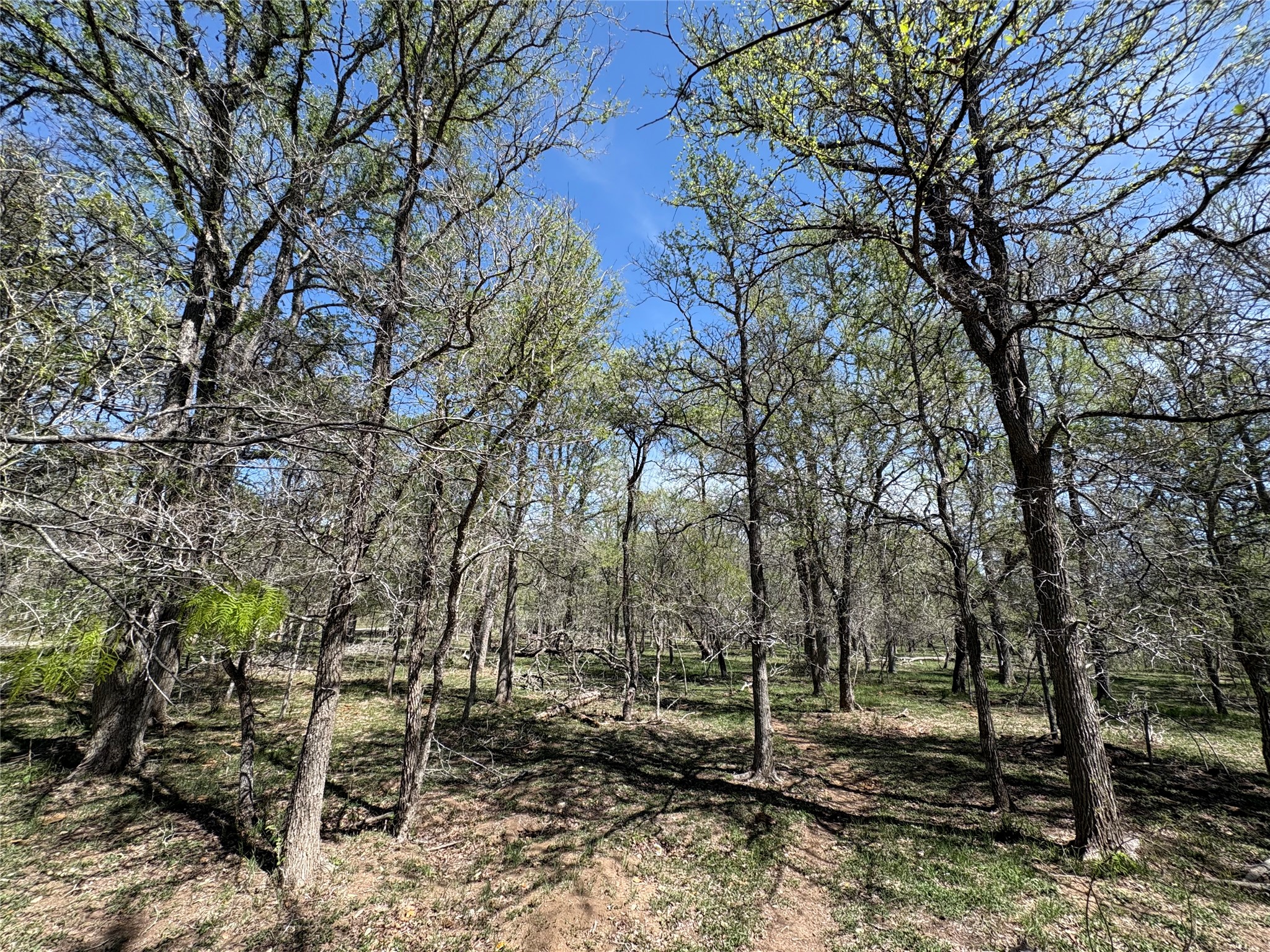 main property photo 25