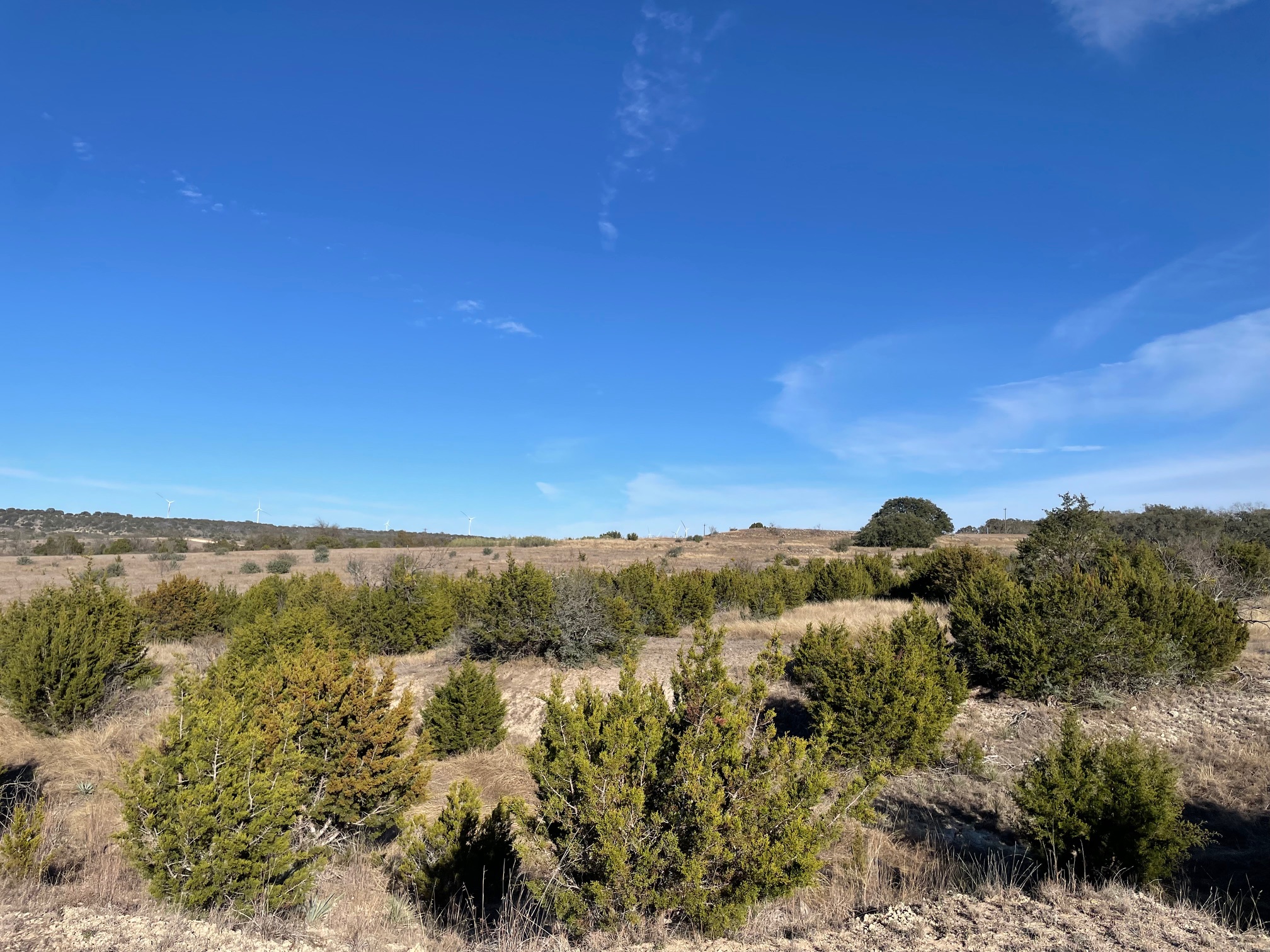 main property photo 10