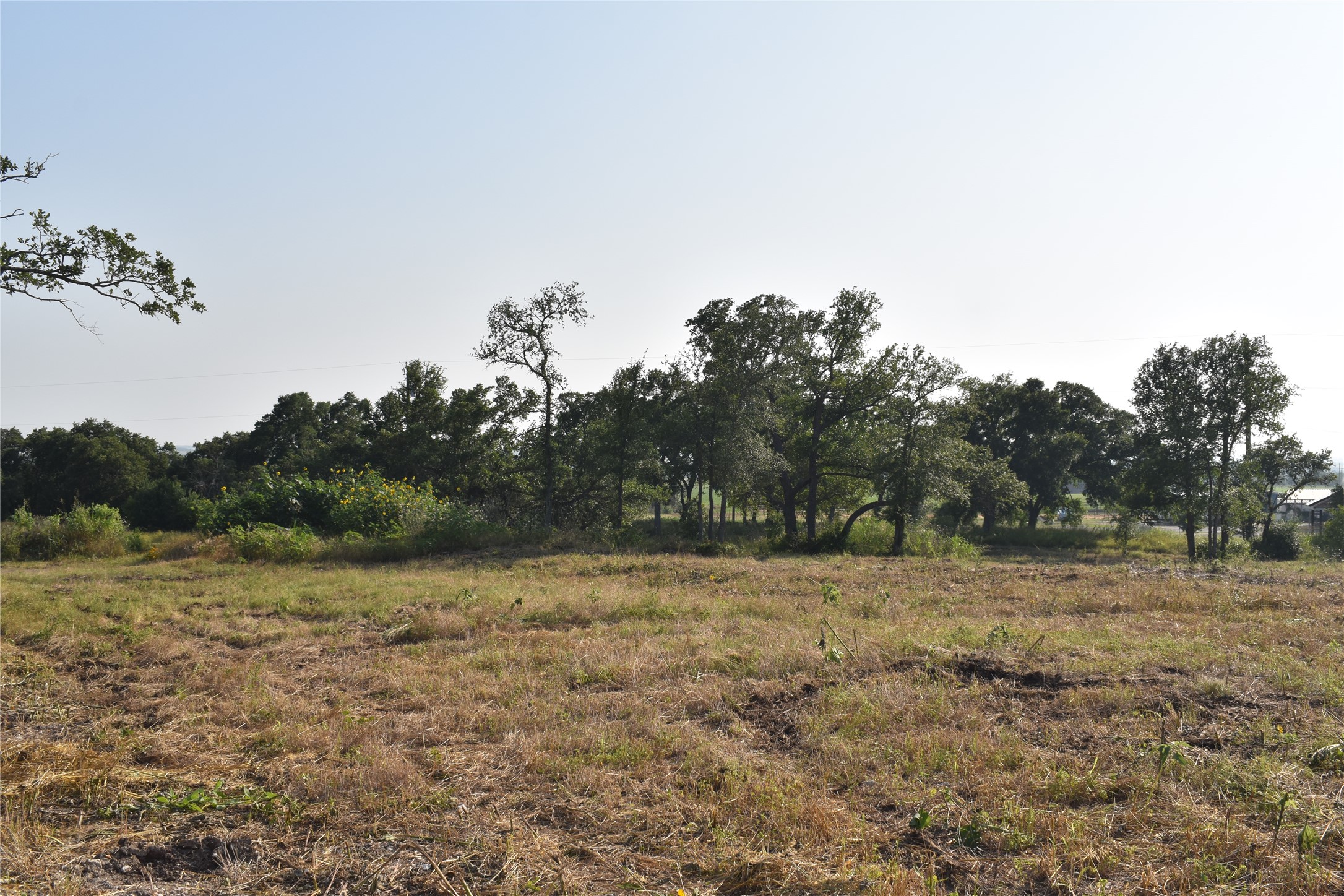 main property photo 11