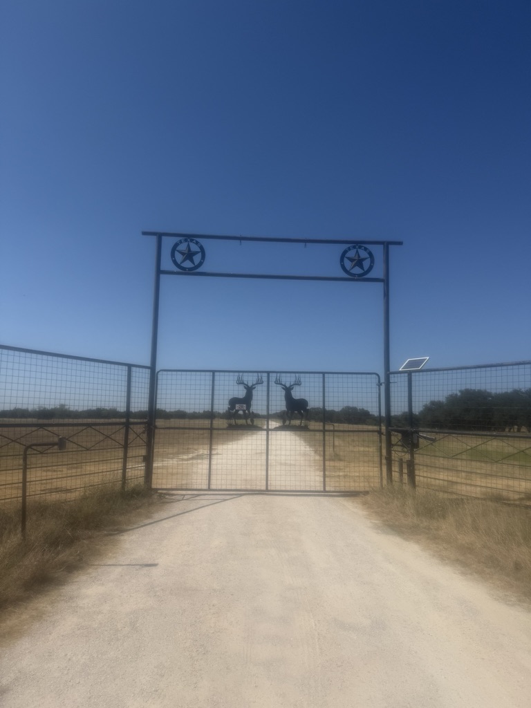 main property photo 0