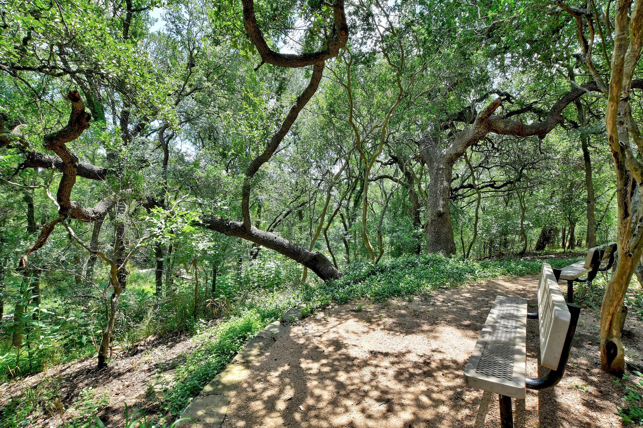main property photo 31