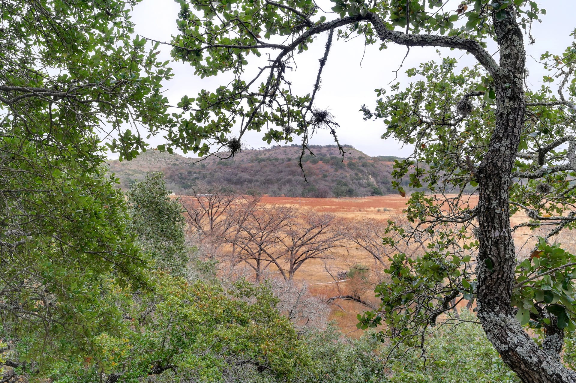 main property photo 29