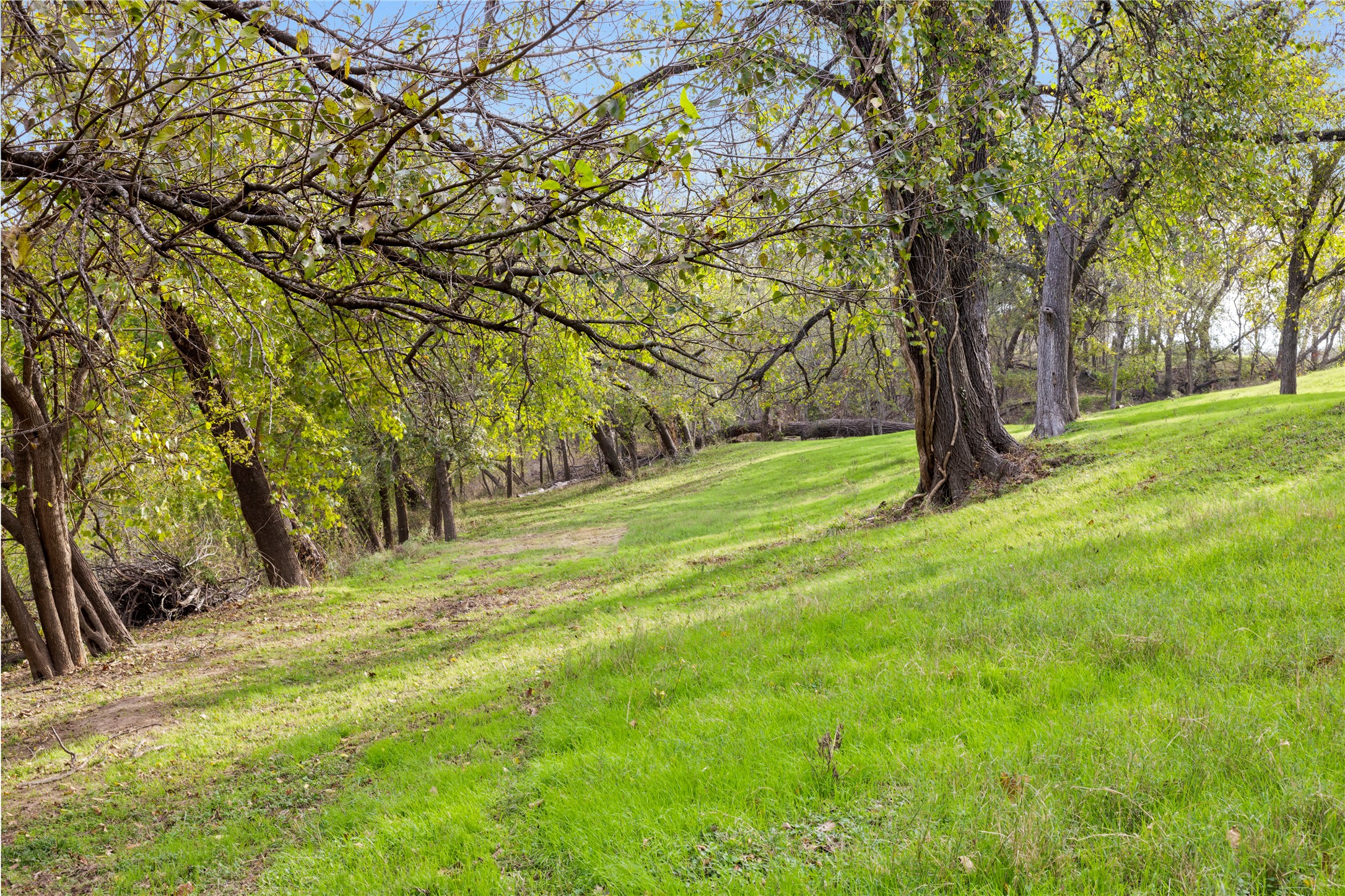 main property photo 19