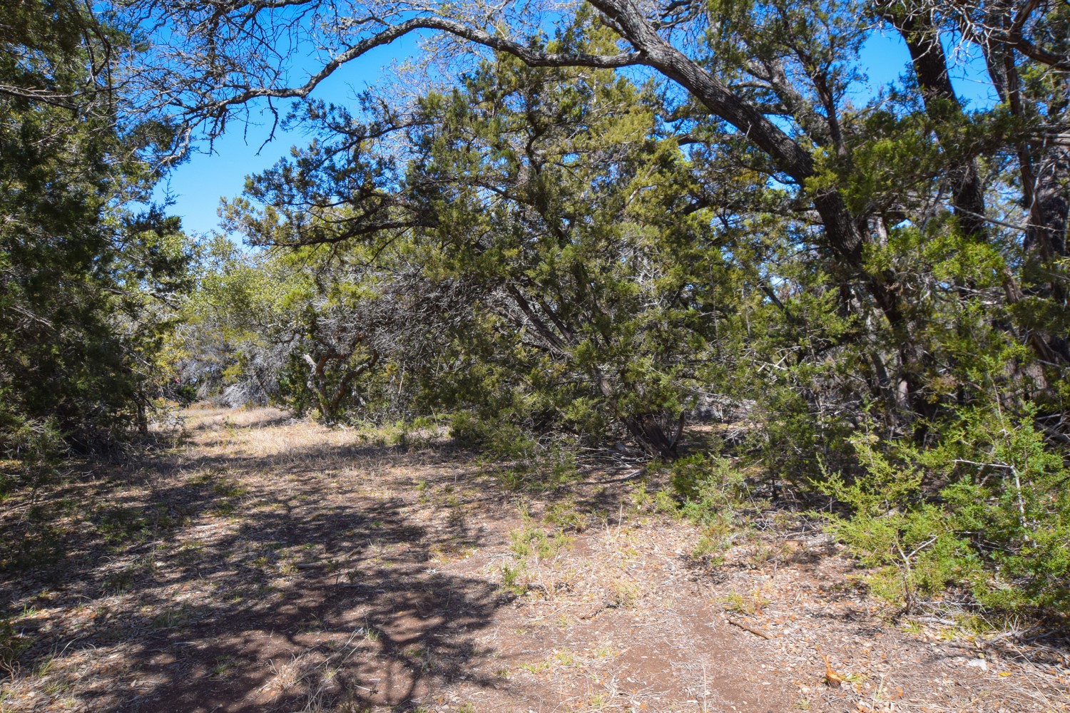 main property photo 10