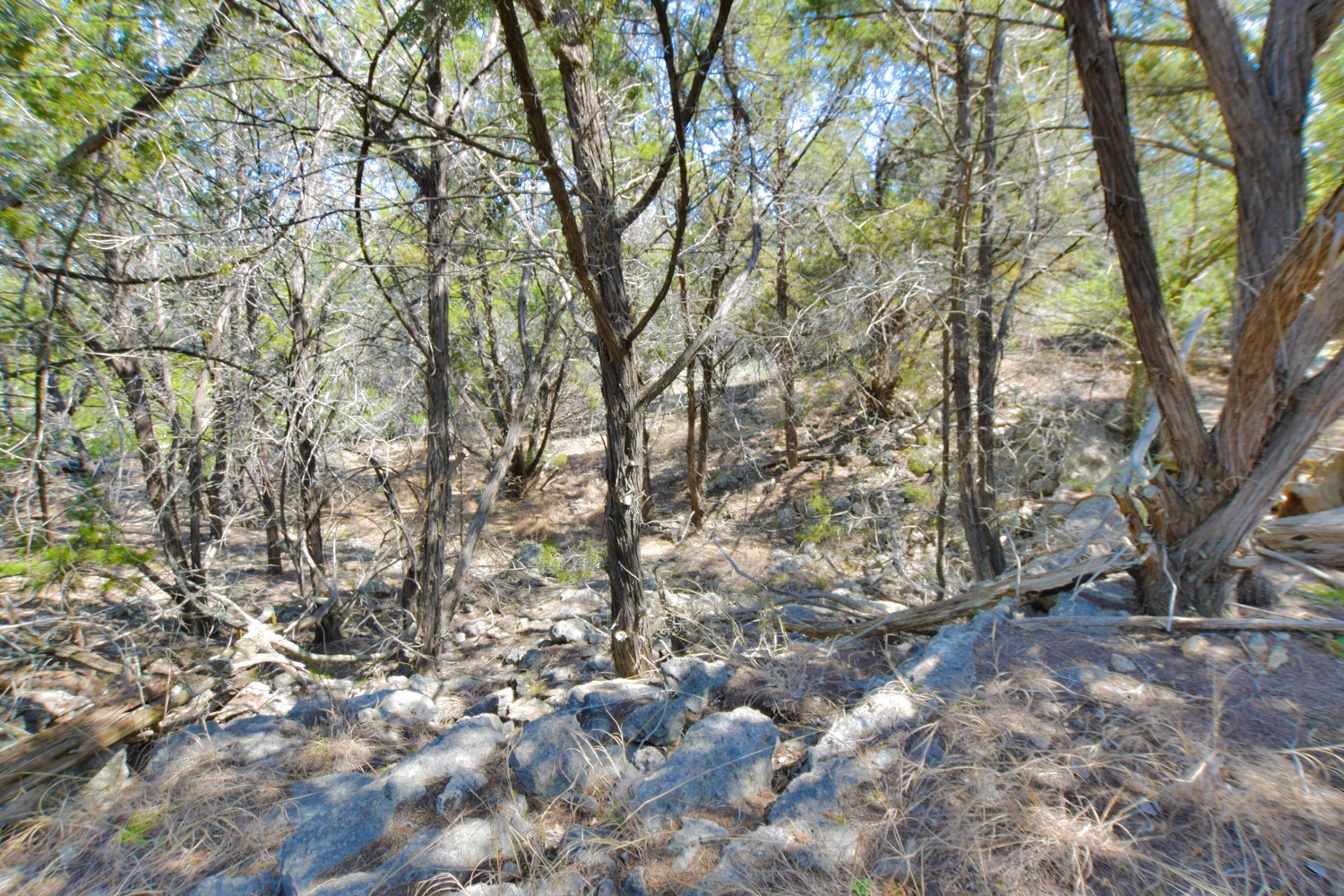 main property photo 15