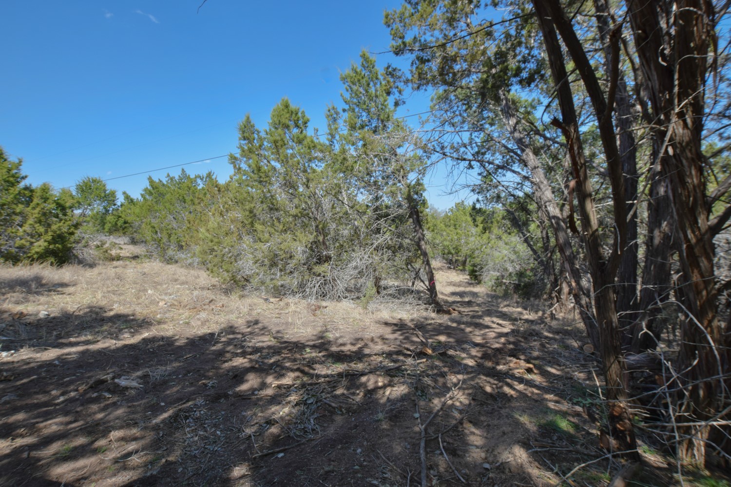 main property photo 23