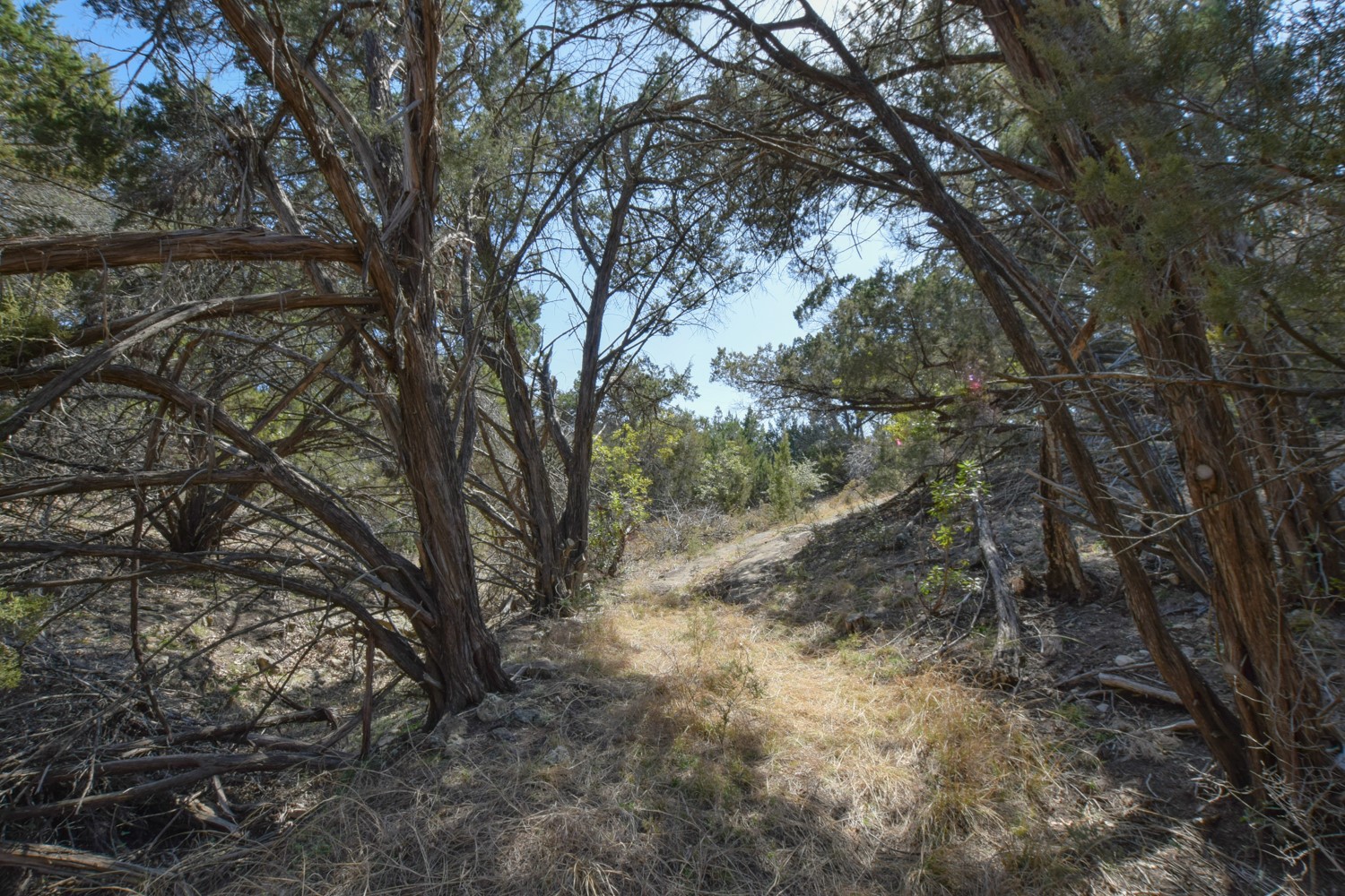 main property photo 26