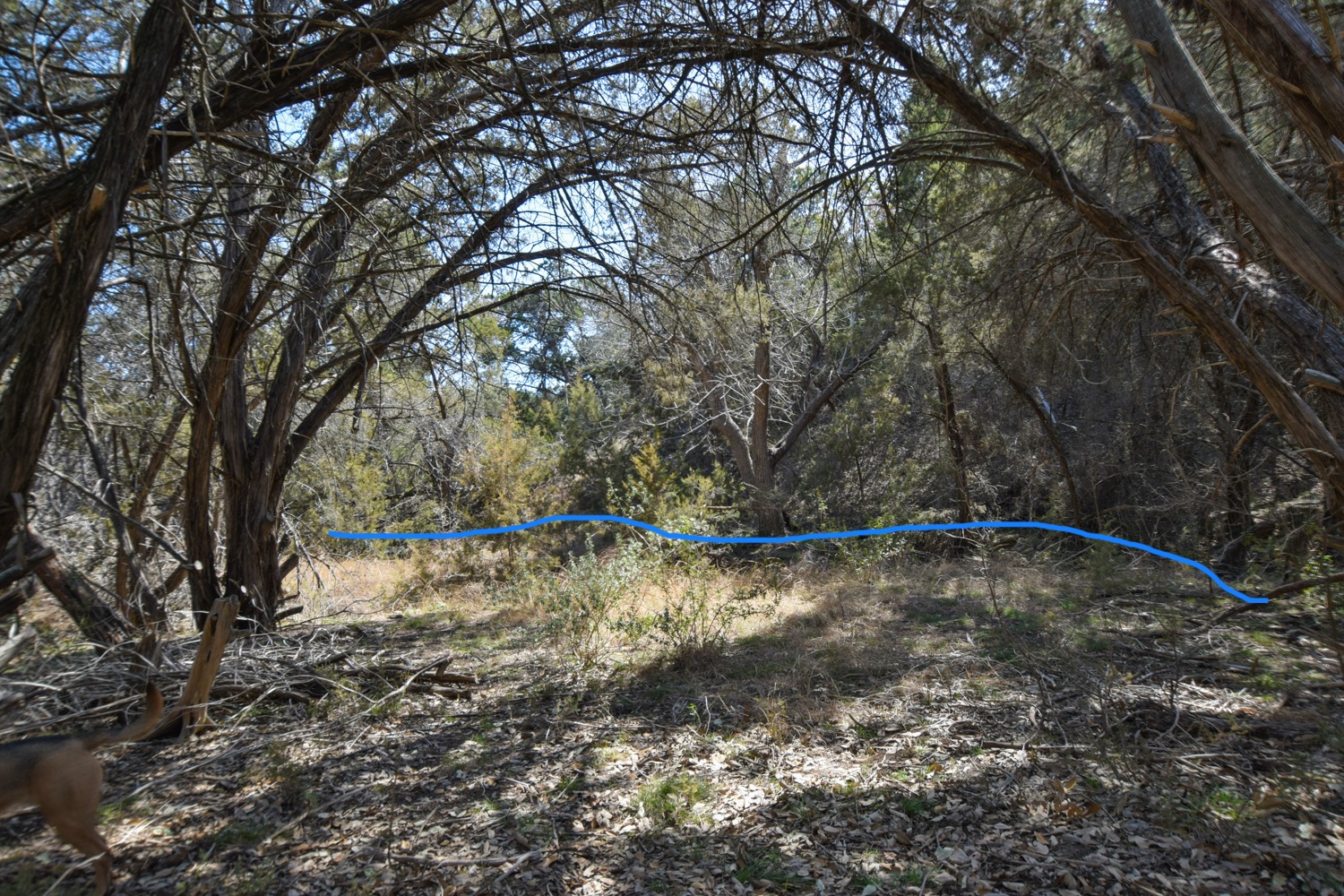 main property photo 5
