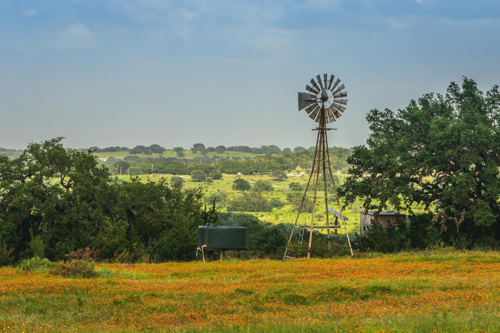 main property photo 37