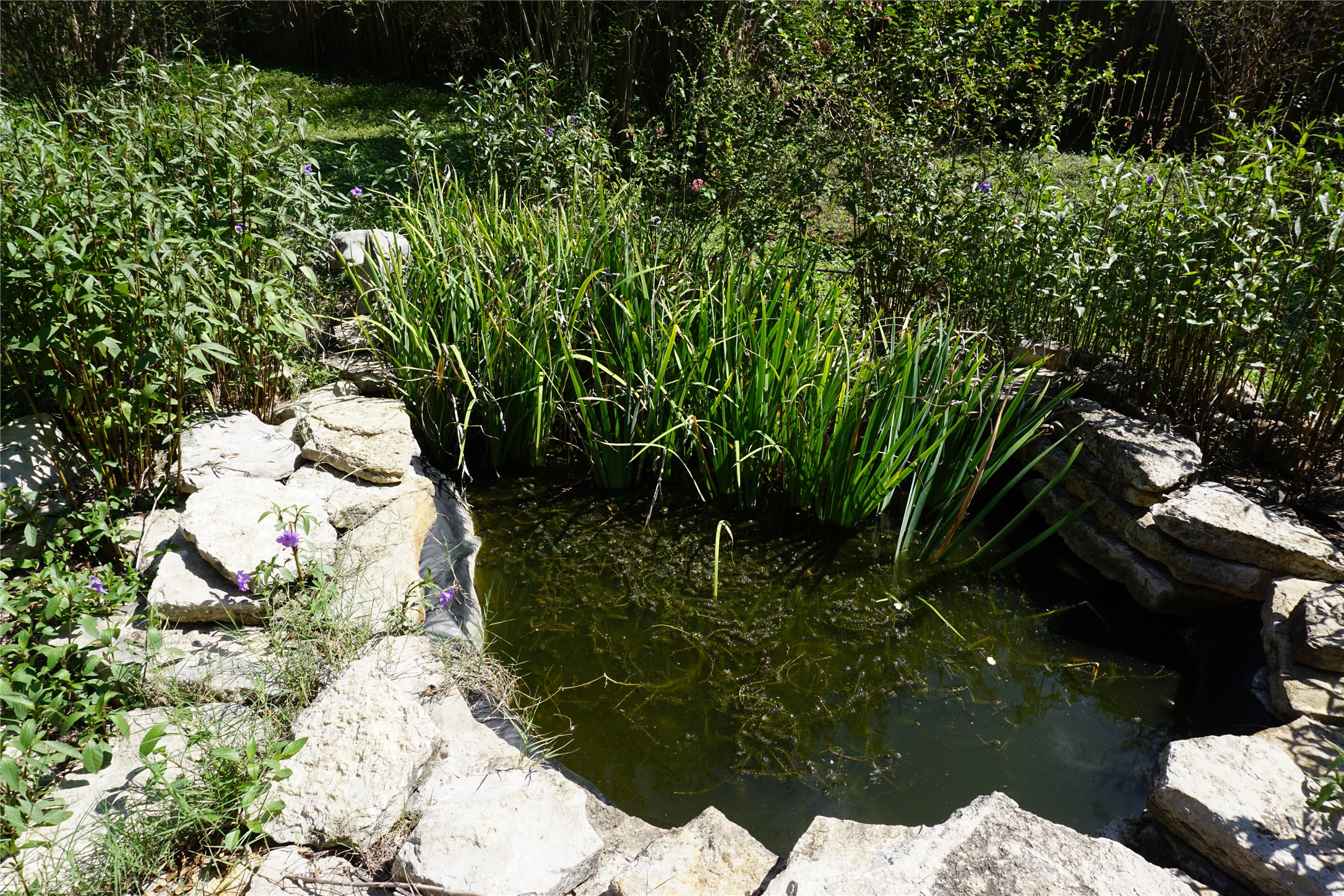 main property photo 27