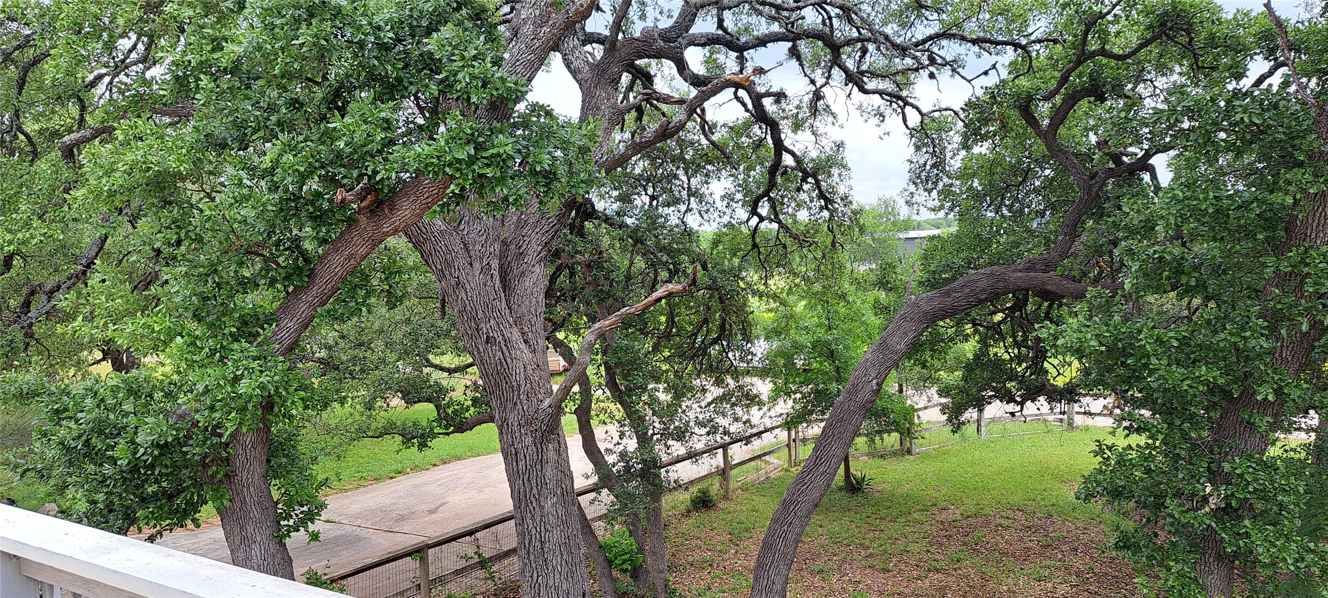 main property photo 29