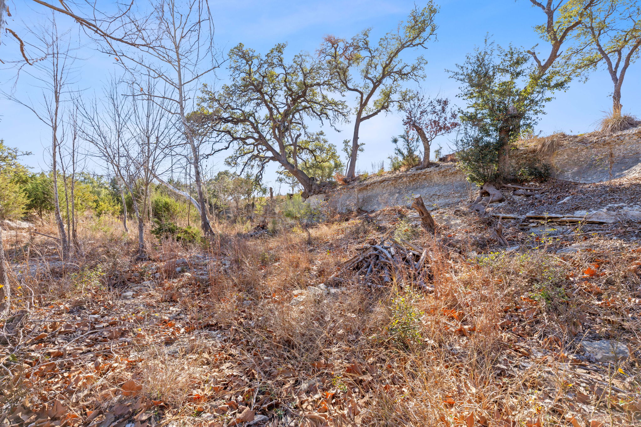main property photo 24