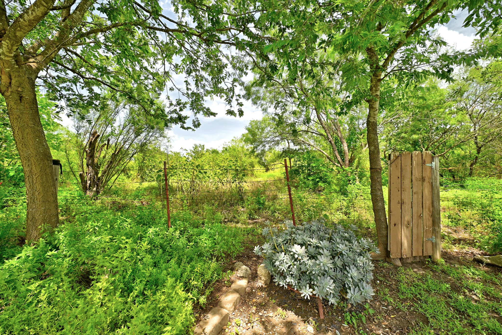 main property photo 23