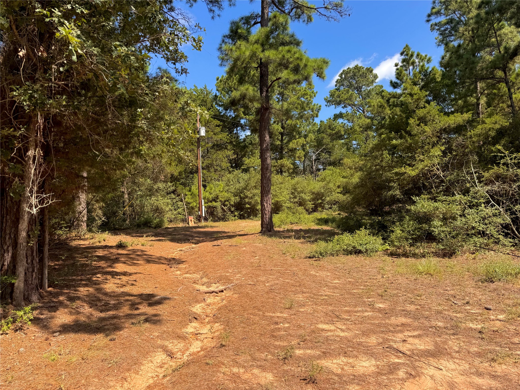 main property photo 7