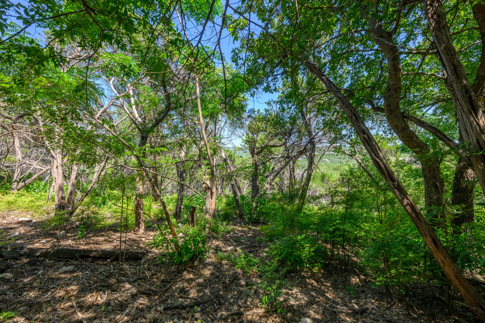 main property photo 36