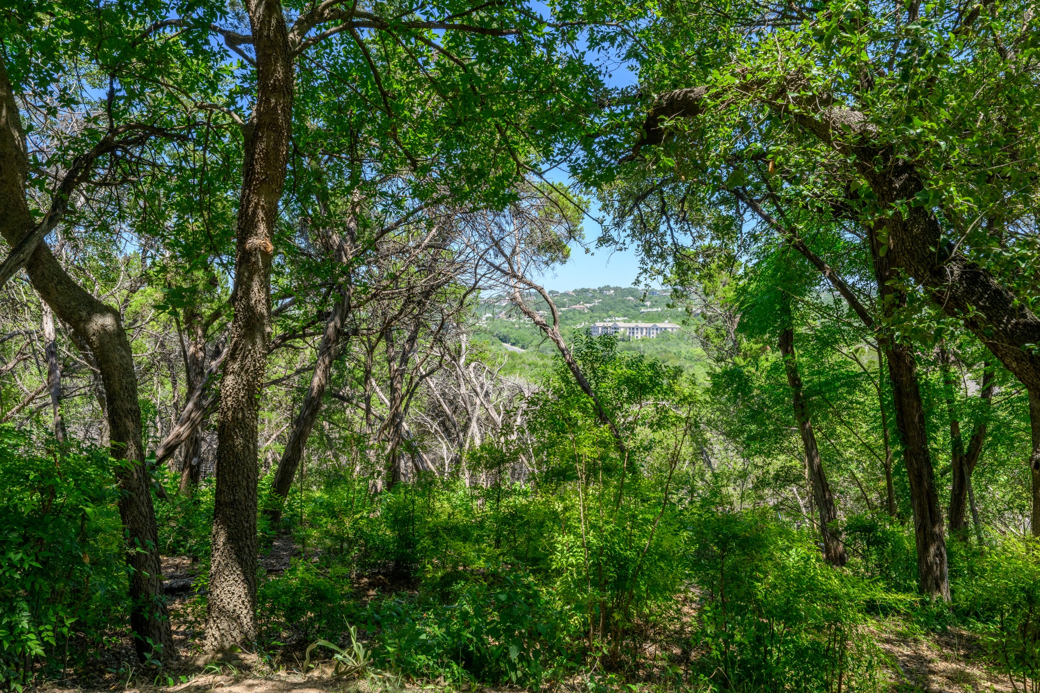 main property photo 37