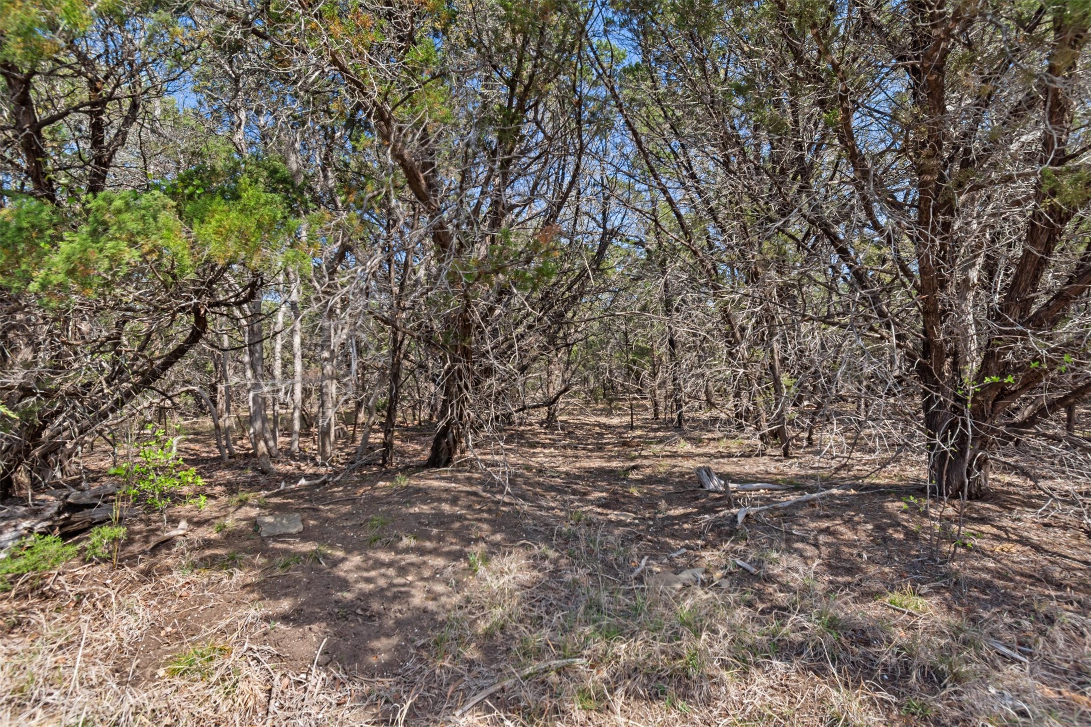 main property photo 9