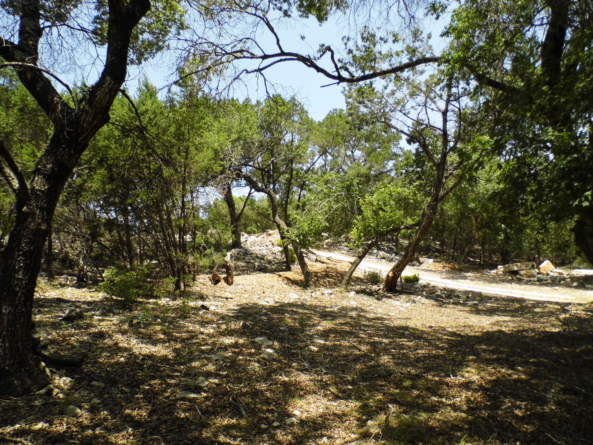 main property photo 6